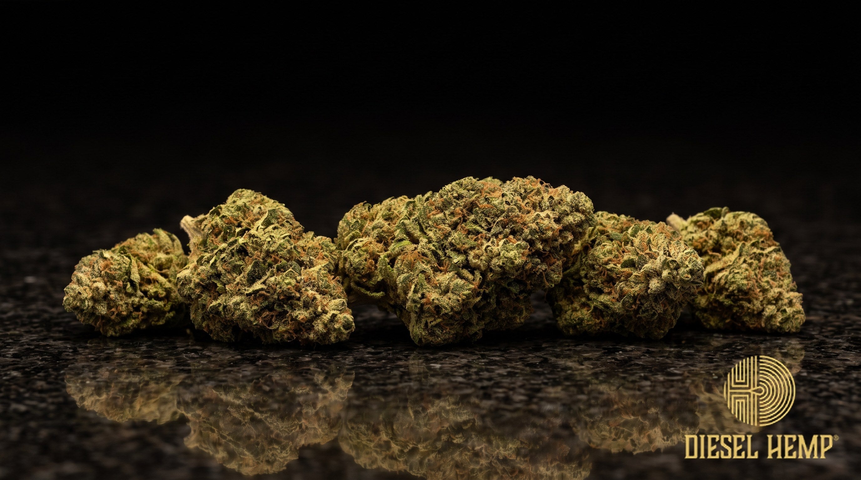 MK Ultra strain cannabis buds in olive to forest green with orange pistils and a heavy coat of white trichomes on a black background | Diesel Hemp