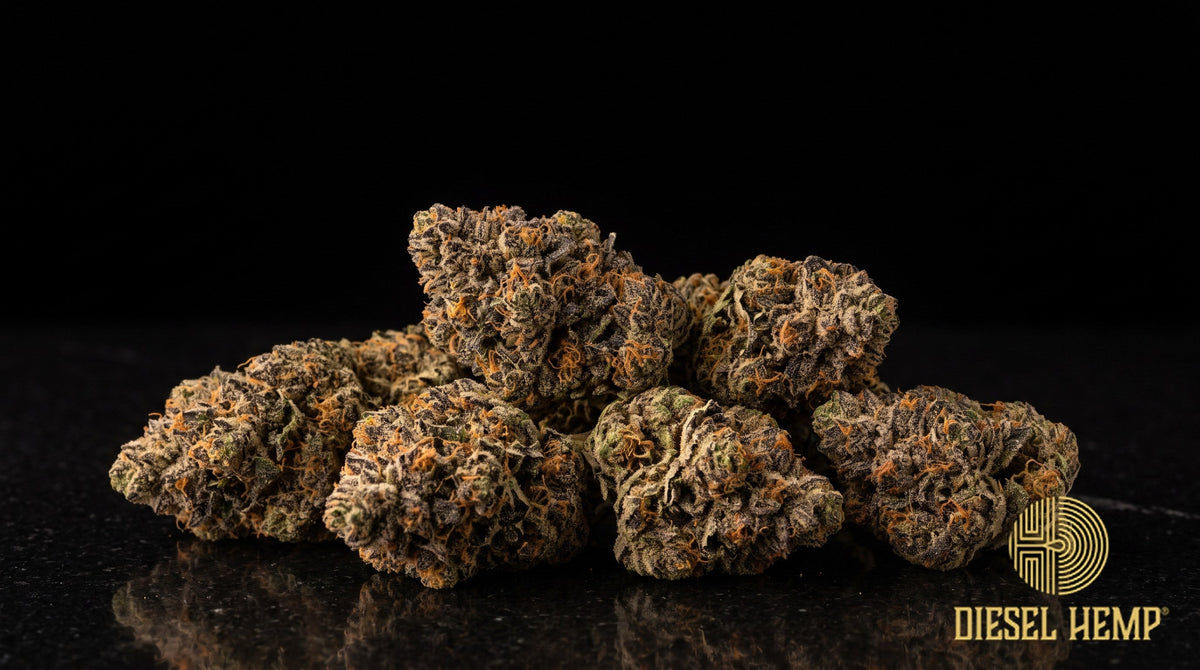 MOB strain cannabis buds, dense golf-ball nugs in deep green with pink and purple hues, orange pistils and a heavy white trichome coat on a black background | Diesel Hemp