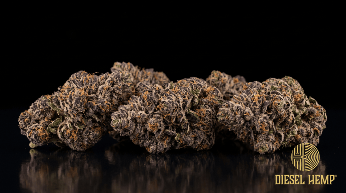 Mochi strain cannabis flower buds in deep purple and forest green with orange pistils and heavy trichome frost on a black background | Diesel Hemp