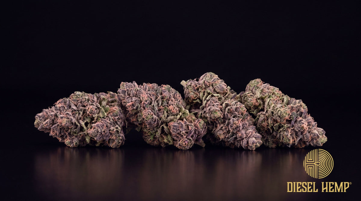 Moonbow strain cannabis buds in bright green with violet accents, orange pistils and heavy trichome frost on a black background | Diesel Hemp
