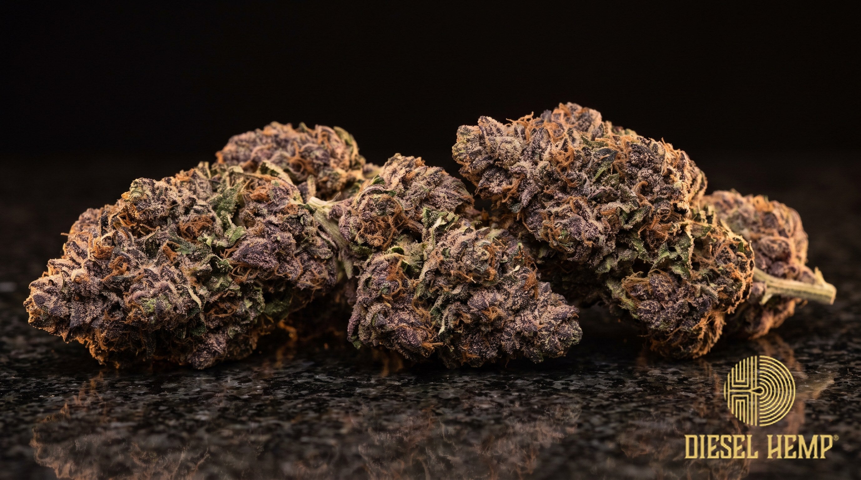 Obama Runtz strain cannabis buds in neon green with purple undertones, thick orange pistils and sticky trichome frost on a black background | Diesel Hemp