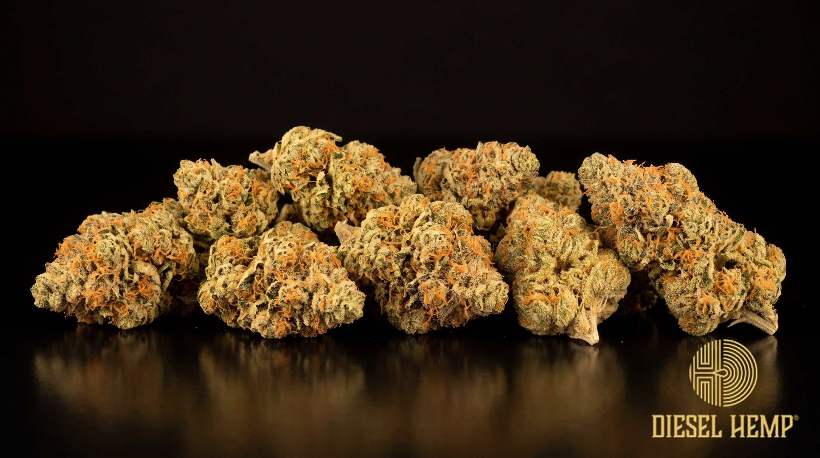 Orange Cookies strain cannabis buds in light minty green with bright orange pistils and white trichome frost on a black background | Diesel Hemp