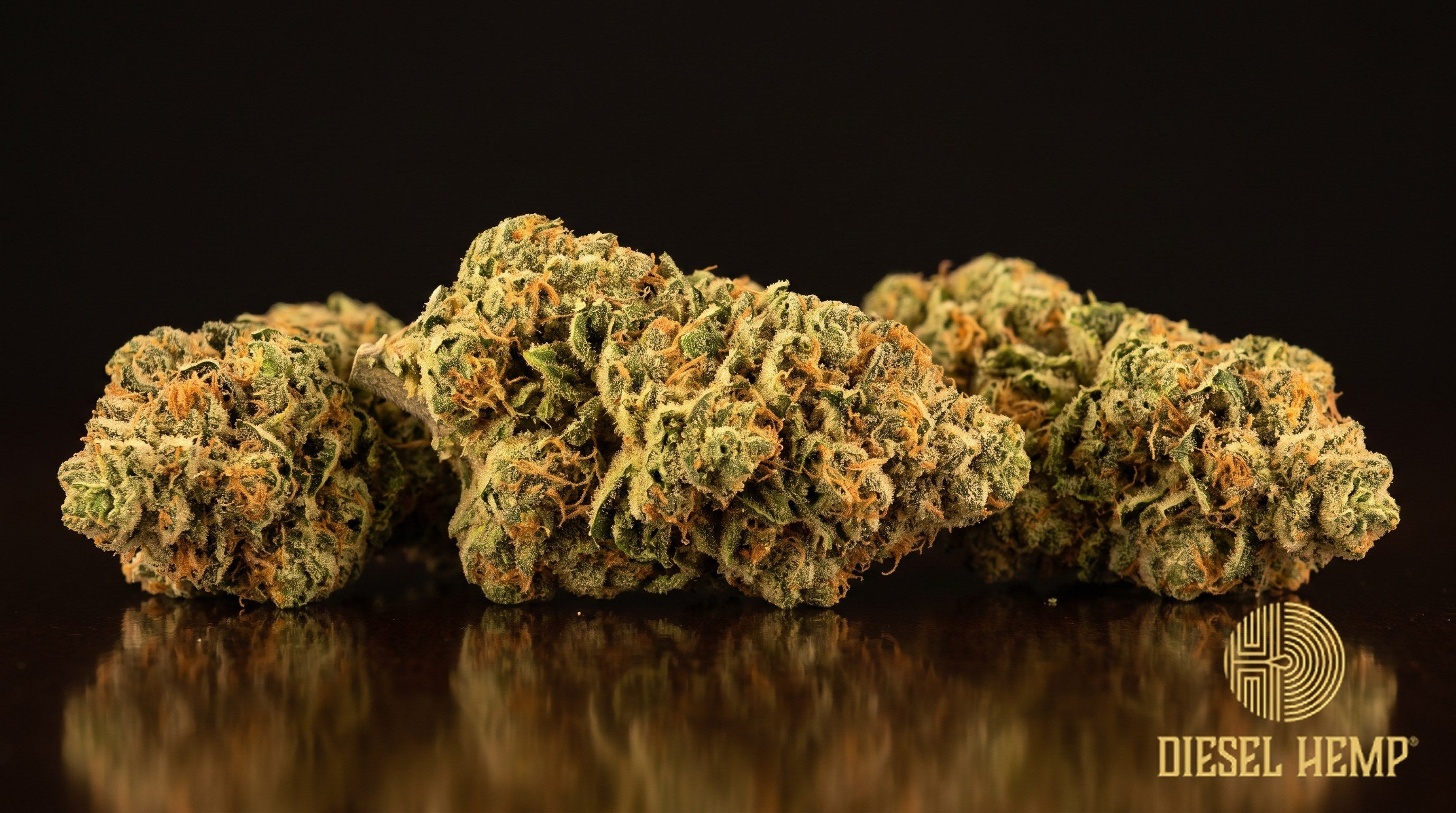 Papaya Bomb strain cannabis buds in bright neon green with red-orange pistils and heavy trichome frost on a black background | Diesel Hemp