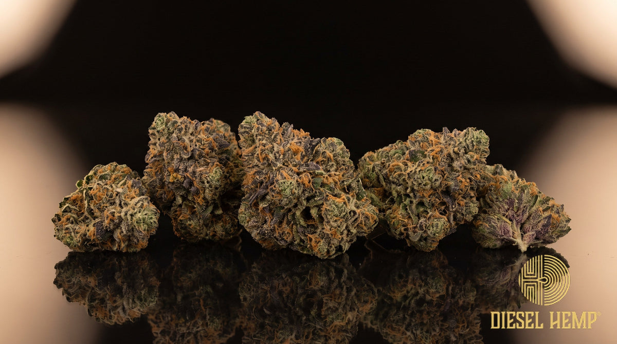 Papaya Punch strain cannabis buds in lime and forest green with purple accents, orange pistils and a heavy trichome frost on a black background | Diesel Hemp