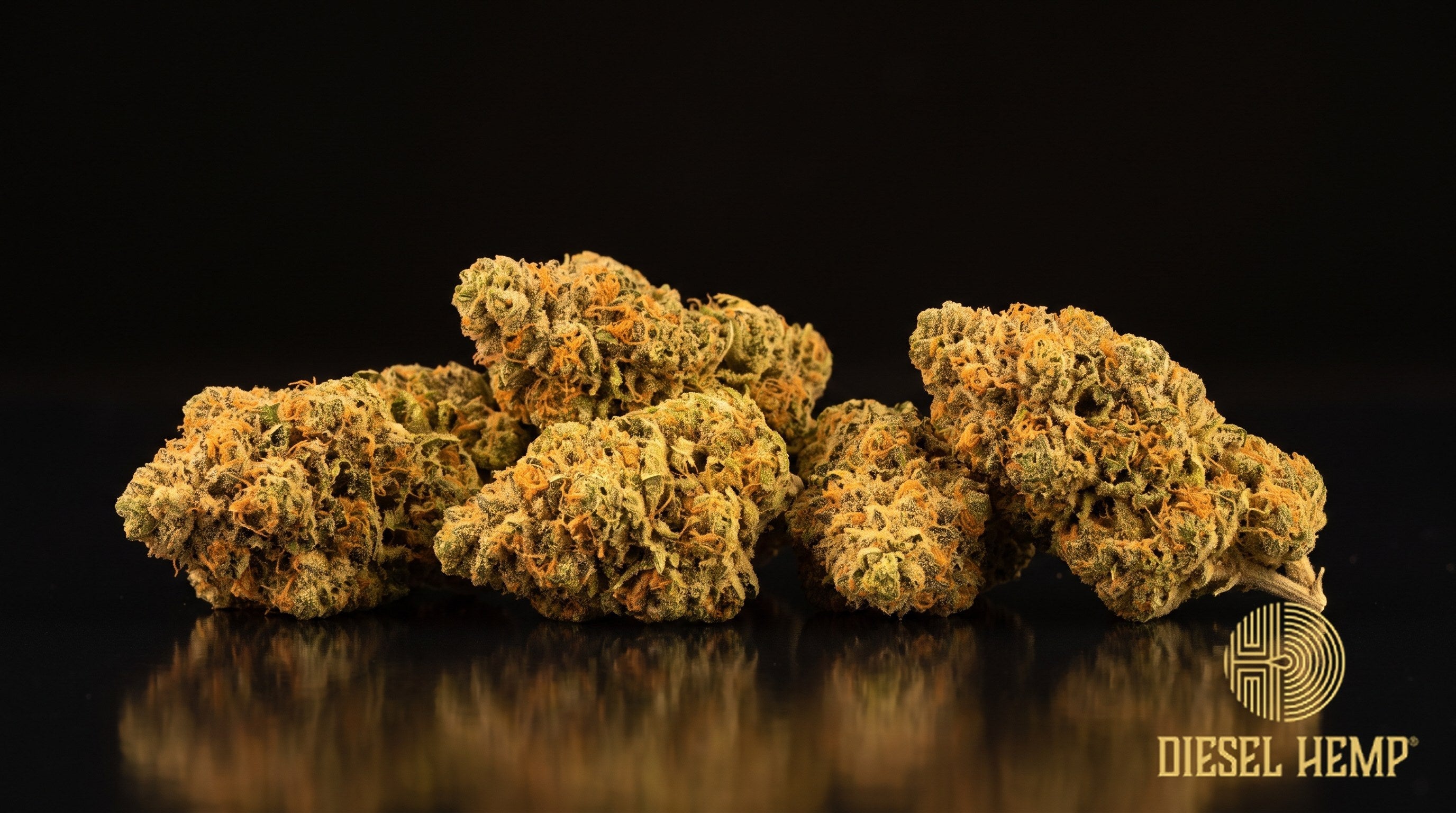 Papaya strain cannabis buds in bright green with vivid orange pistils and a glistening trichome coat on a black background | Diesel Hemp