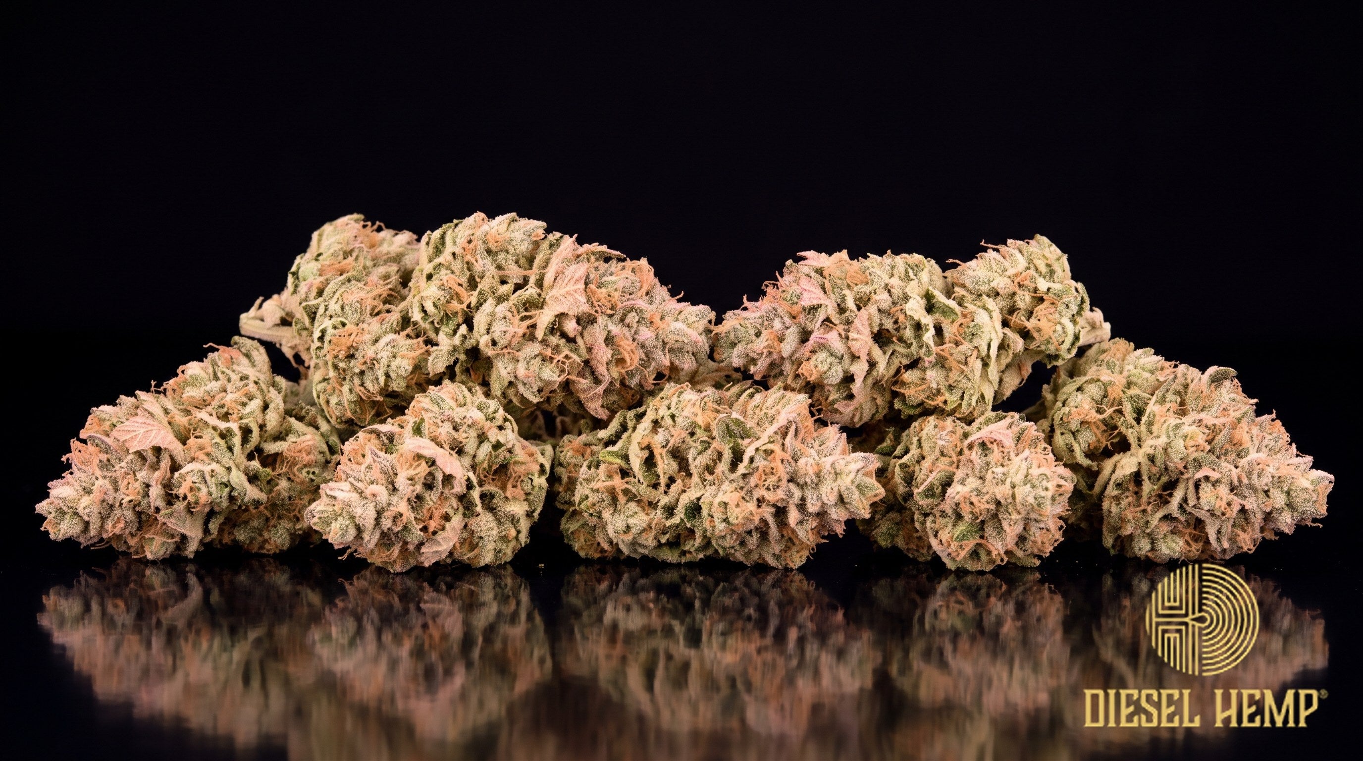 Peach Rings strain cannabis buds in minty and olive green with rust-orange pistils and a sugary coat of white trichomes on a black background | Diesel Hemp