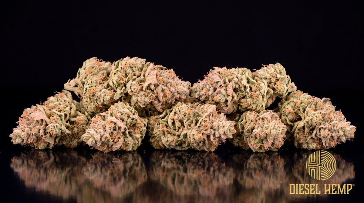 Peach Rings strain cannabis buds in minty and olive green with rust-orange pistils and a sugary coat of white trichomes on a black background | Diesel Hemp
