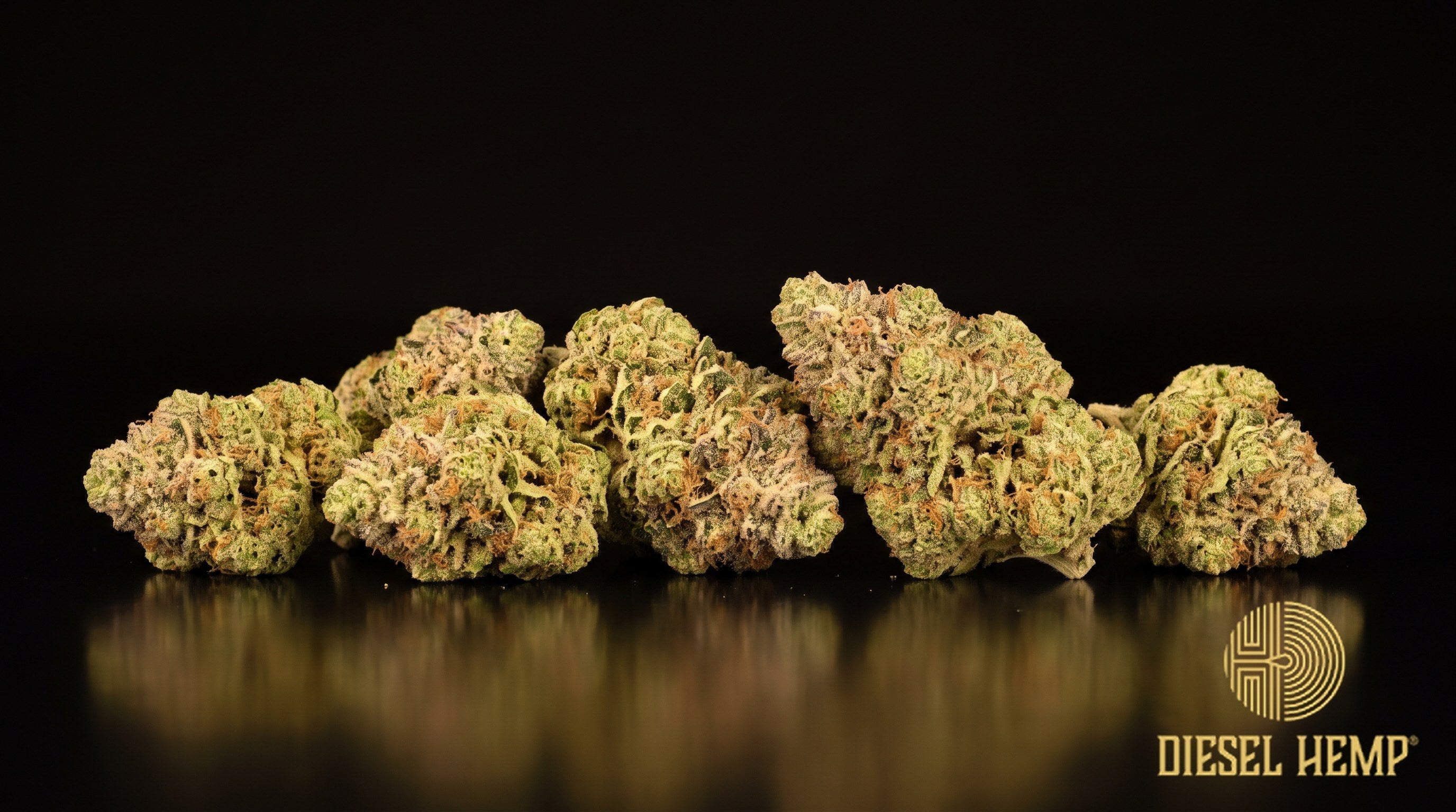 Pink Guava strain cannabis buds in forest green with pink undertones, pink-orange pistils and a frosty trichome coat on a black background | Diesel Hemp