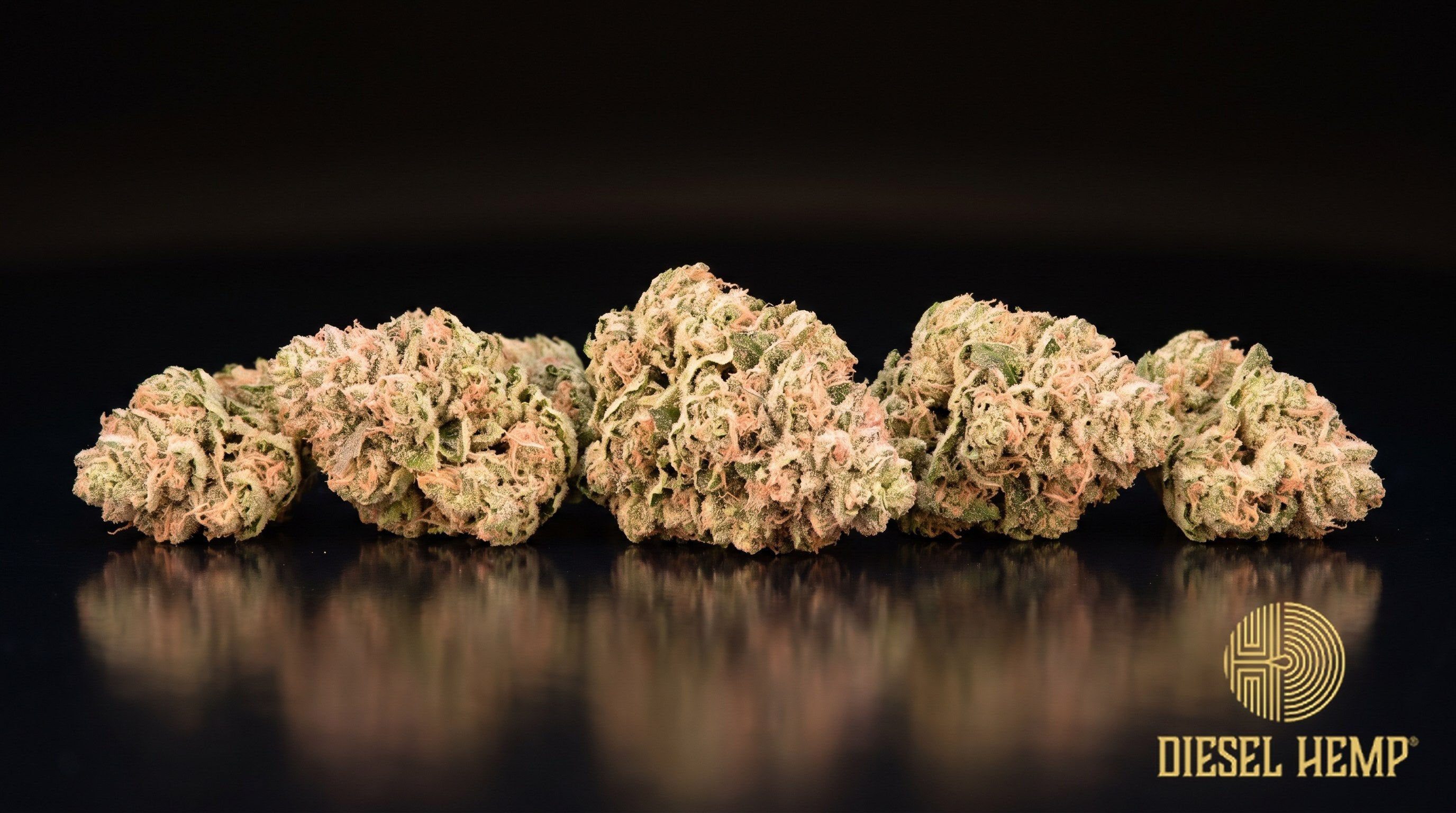Pink Panties strain cannabis buds in dark olive green with orange pistils, faint pink undertones and heavy trichome frost on a black background | Diesel Hemp