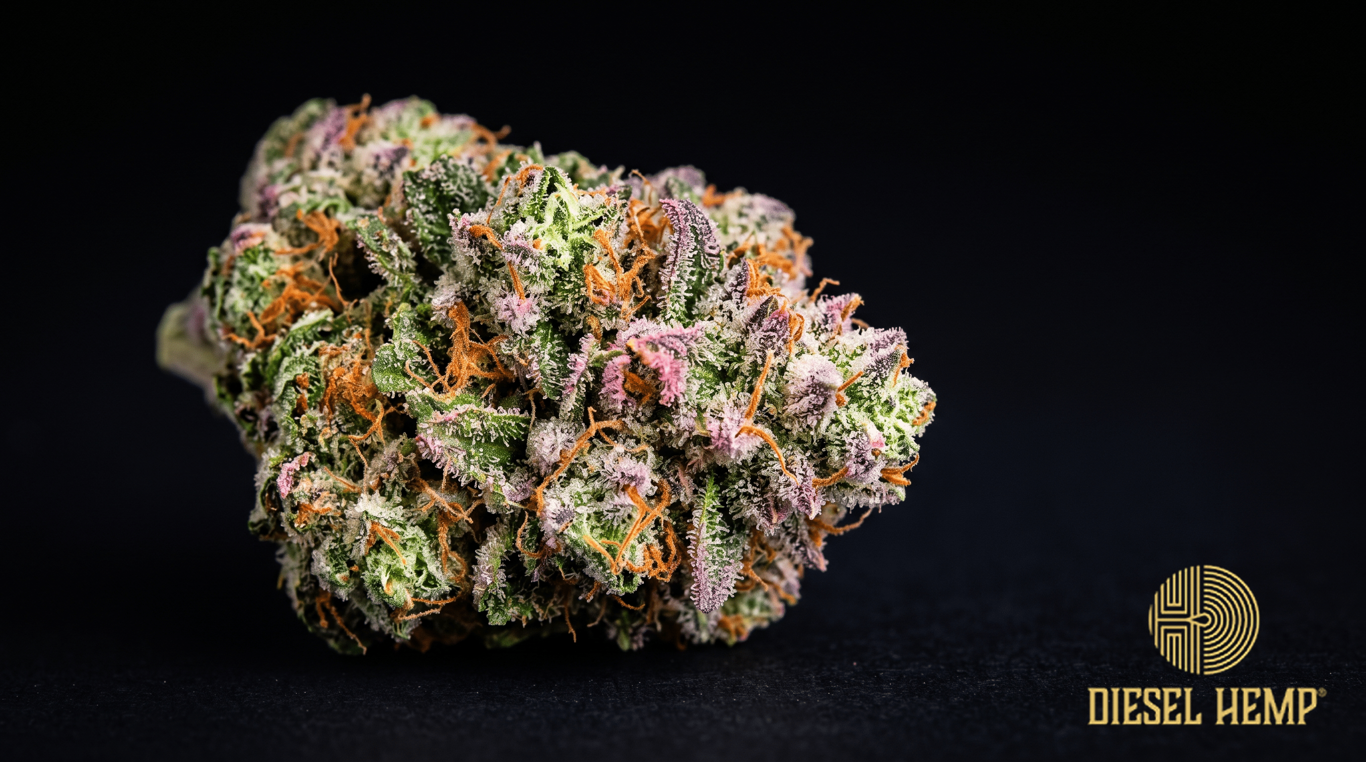 Pink Runtz strain THCA flower bud macro - Diesel Hemp