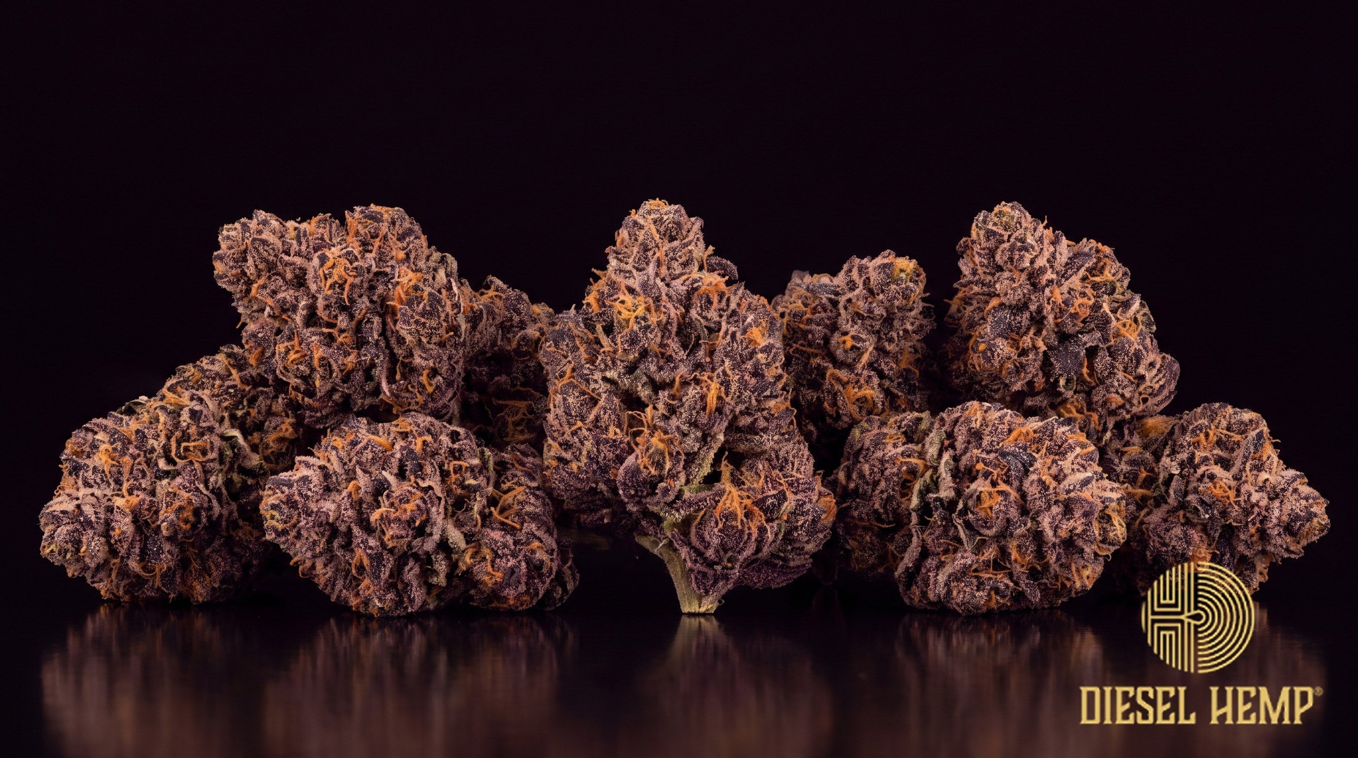 Planet of the Grapes strain cannabis buds in minty green with thin amber pistils and heavy trichome frost on a black background | Diesel Hemp