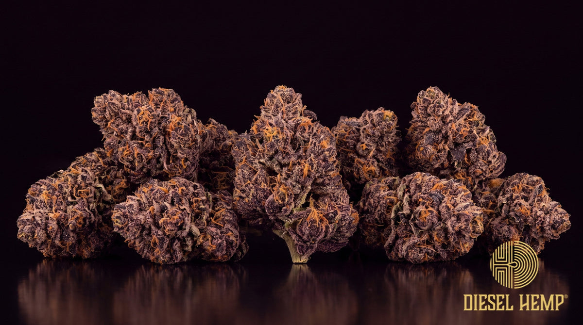 Planet of the Grapes strain cannabis buds in minty green with thin amber pistils and heavy trichome frost on a black background | Diesel Hemp