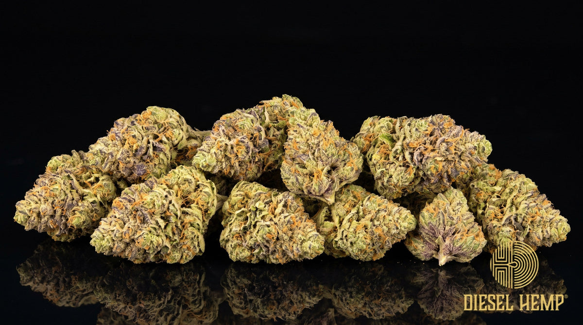 Pop Rocks strain cannabis buds in minty green with thick orange pistils and an icy white trichome coat on a black background | Diesel Hemp