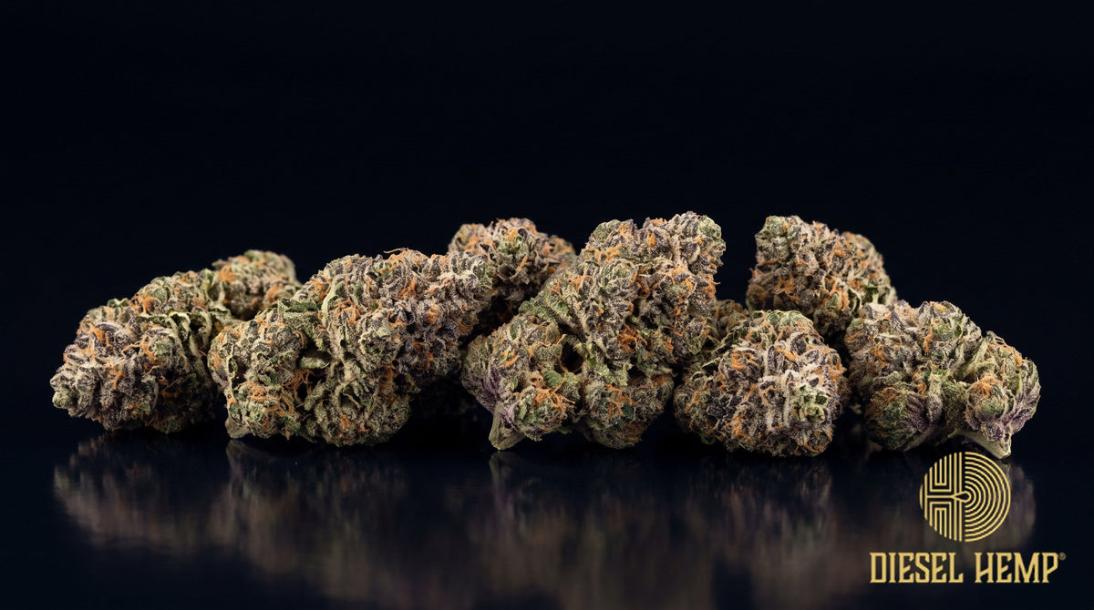 Purple Diesel strain cannabis buds, dark purple and olive green with orange pistils and a frosty trichome coat on a black background | Diesel Hemp