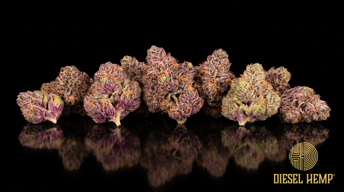 Rainbow Belts strain cannabis flower buds on black background — purple and green candy-colored Zkittlez × Moonbow buds | Diesel Hemp