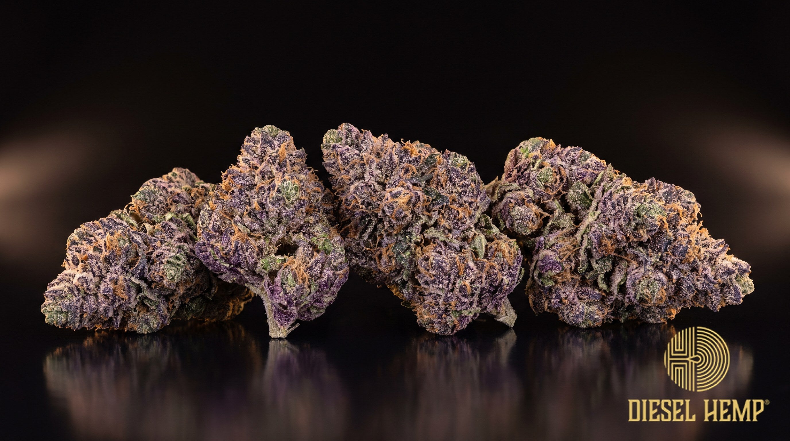 Rainbow Chip strain cannabis buds in forest green with thin orange pistils and a frosty trichome coat on a black background | Diesel Hemp