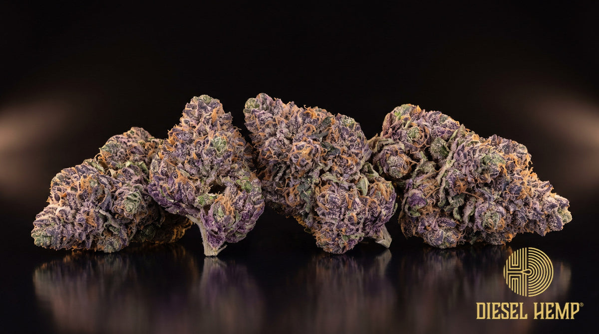 Rainbow Chip strain cannabis buds in forest green with thin orange pistils and a frosty trichome coat on a black background | Diesel Hemp