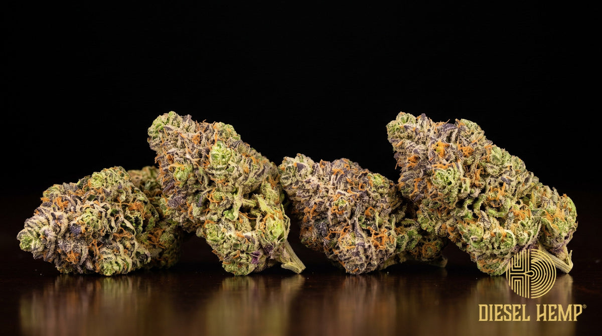 Rainbow Runtz strain cannabis buds in lime green streaked with violet, orange pistils and heavy trichome frost on a black background | Diesel Hemp