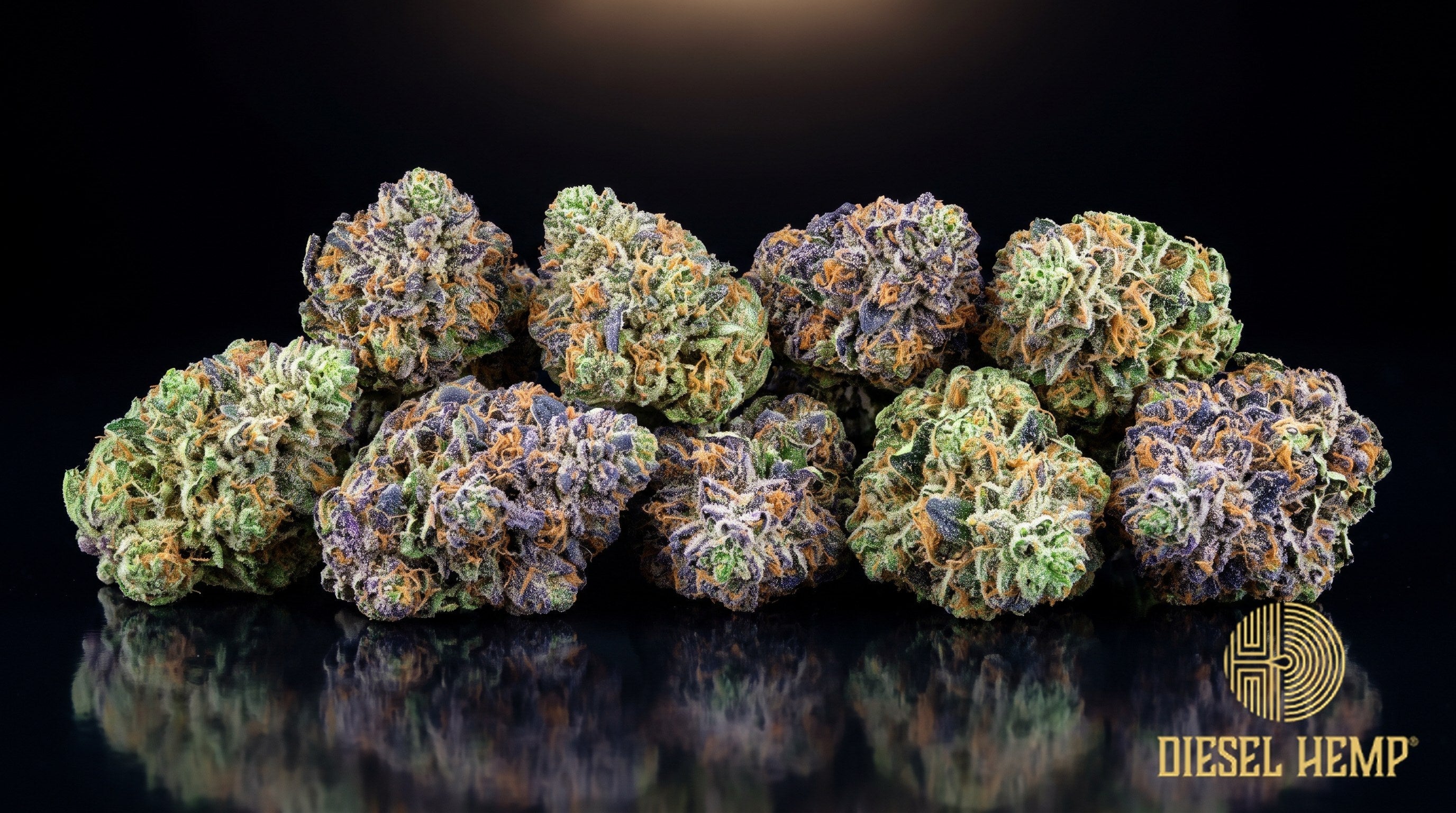 Rainbow Sherbet strain cannabis buds in forest green with orange pistils and a heavy coat of trichome frost on a black background | Diesel Hemp