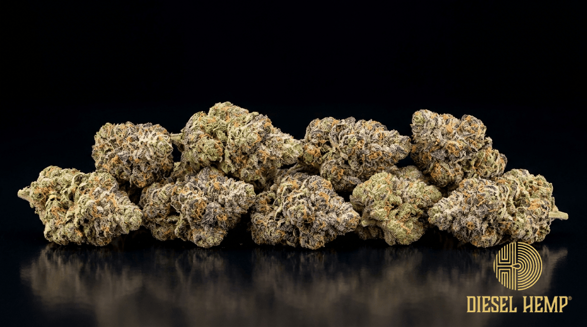 Runtz strain cannabis flower buds on black background — colorful purple-green candy-frosted buds with orange pistils | Diesel Hemp