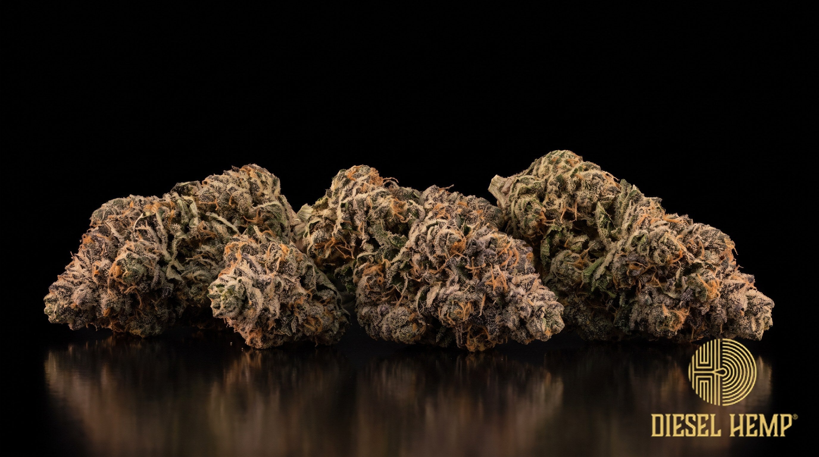 Sherb Cake strain cannabis buds in green with purple hues, orange pistils and heavy trichome frost on a black background | Diesel Hemp
