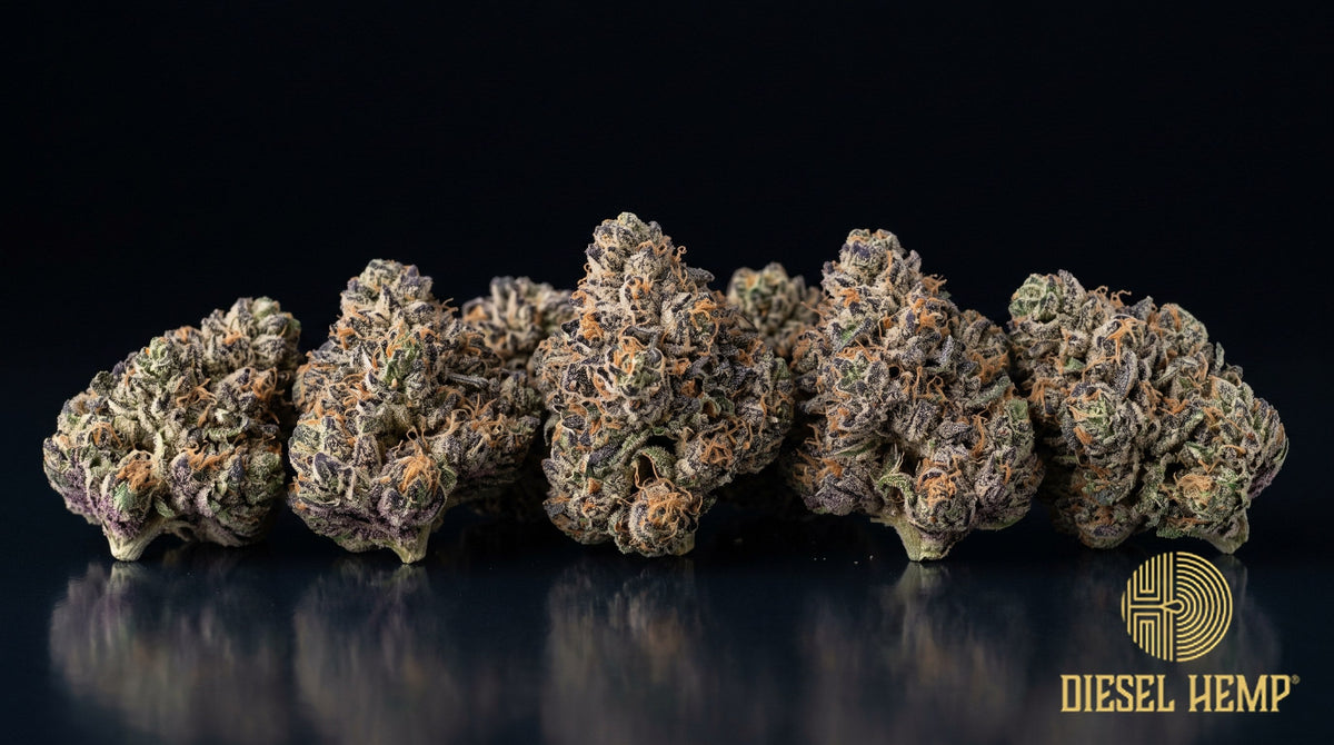 Sherb Cream Pie strain cannabis buds in emerald green with purple flecks, thin orange pistils and heavy trichome frost on a black background | Diesel Hemp