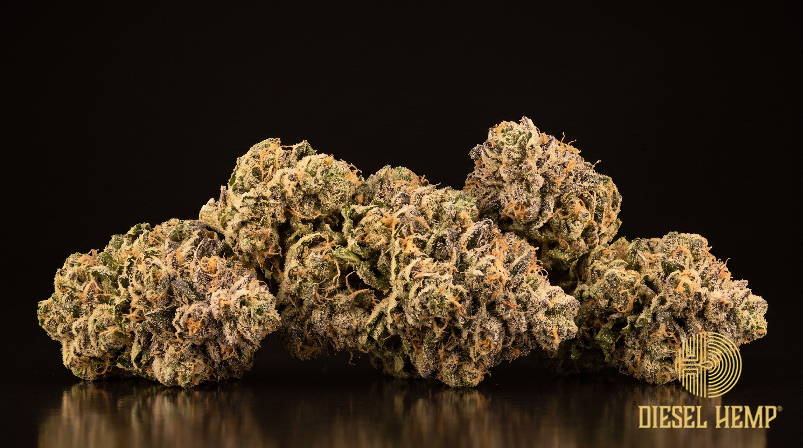 Sherblato strain cannabis buds in forest green with purple flecks, deep amber pistils and a heavy trichome frost on a black background | Diesel Hemp