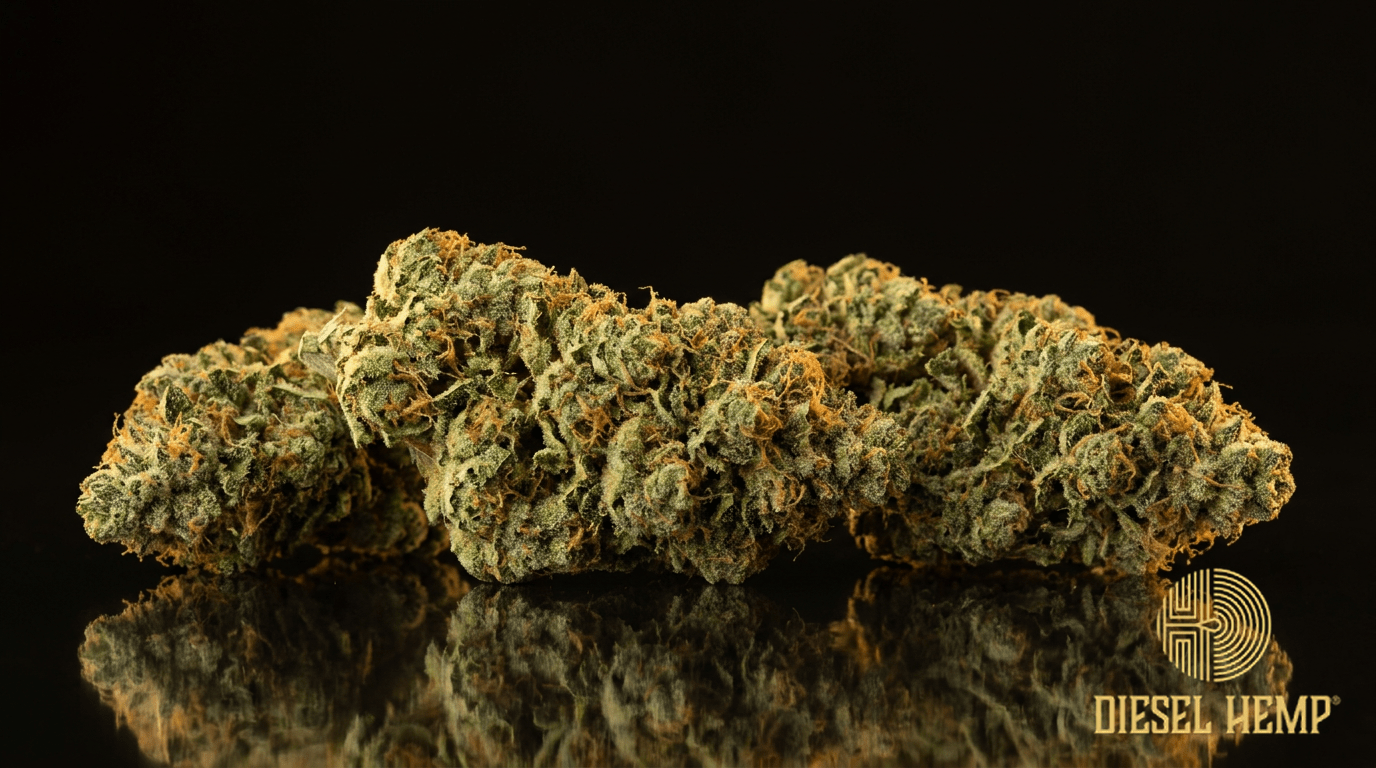 Skunk #1 cannabis flower buds on black background — Diesel Hemp