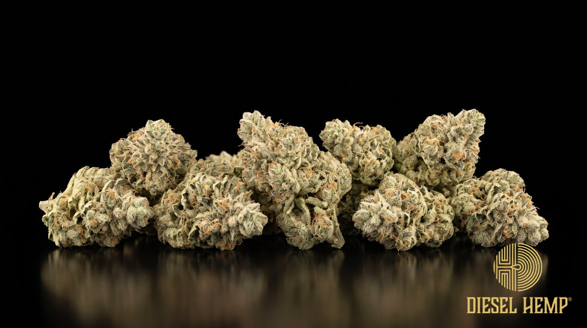 Snowman strain cannabis buds in lime and forest green with thin orange pistils under a heavy white coat of trichomes on a black background | Diesel Hemp