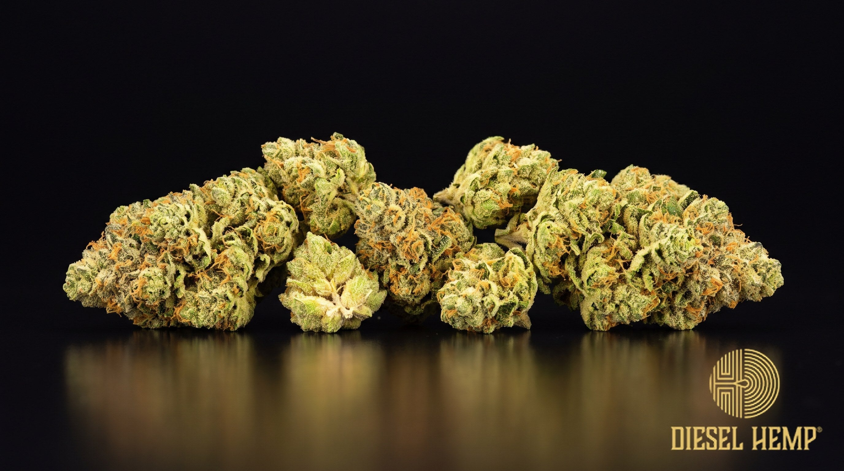 Sour Apple strain cannabis buds in bright neon green with amber hairs and a coat of milky trichomes on a black background | Diesel Hemp