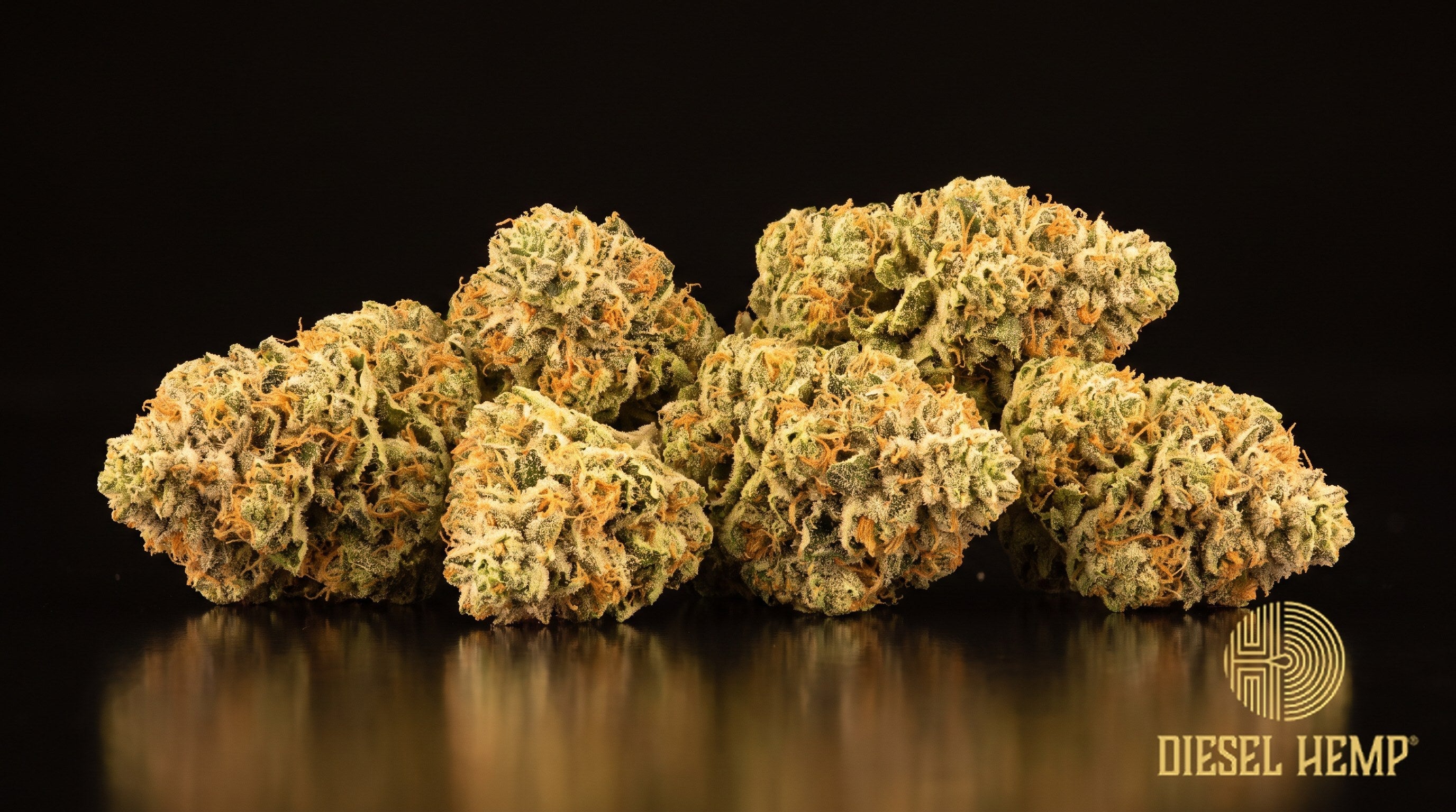 Sour OG strain cannabis buds, dense and lime-green with rust-orange pistils and a heavy trichome frost on a black background | Diesel Hemp