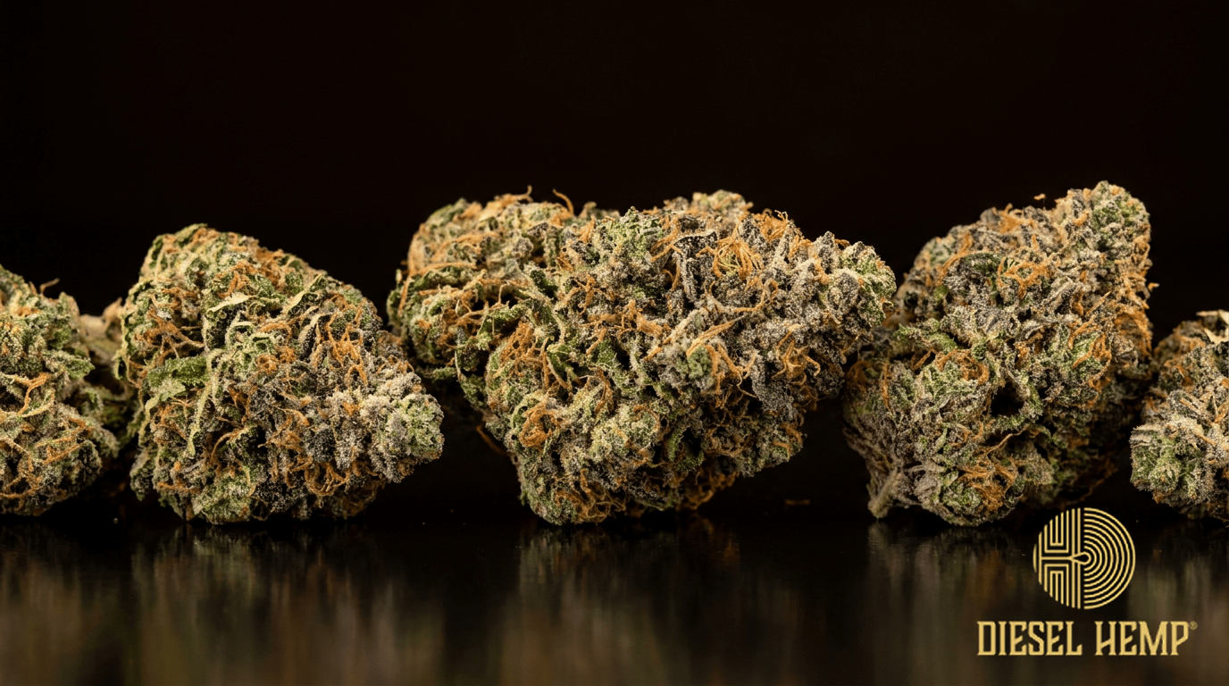 Sour Space Candy CBD hemp flower buds on black background — frosty green and purple with orange hairs | Diesel Hemp