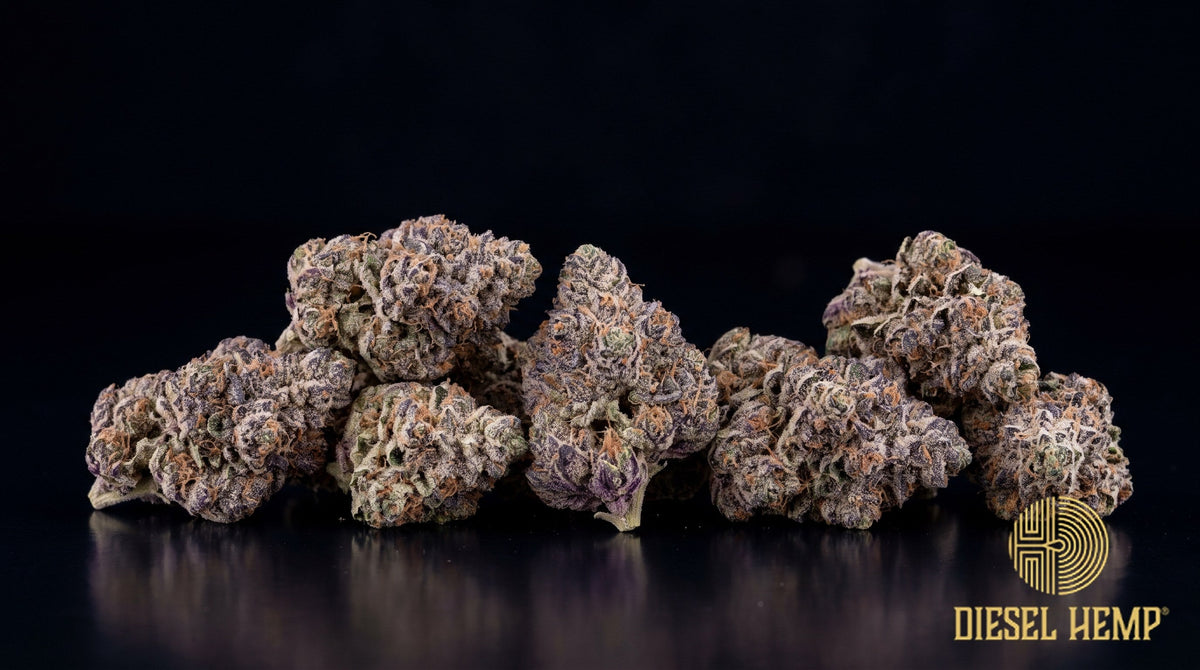 Space Runtz strain cannabis buds in olive green with deep purple undertones, orange pistils and heavy trichome frost on a black background | Diesel Hemp