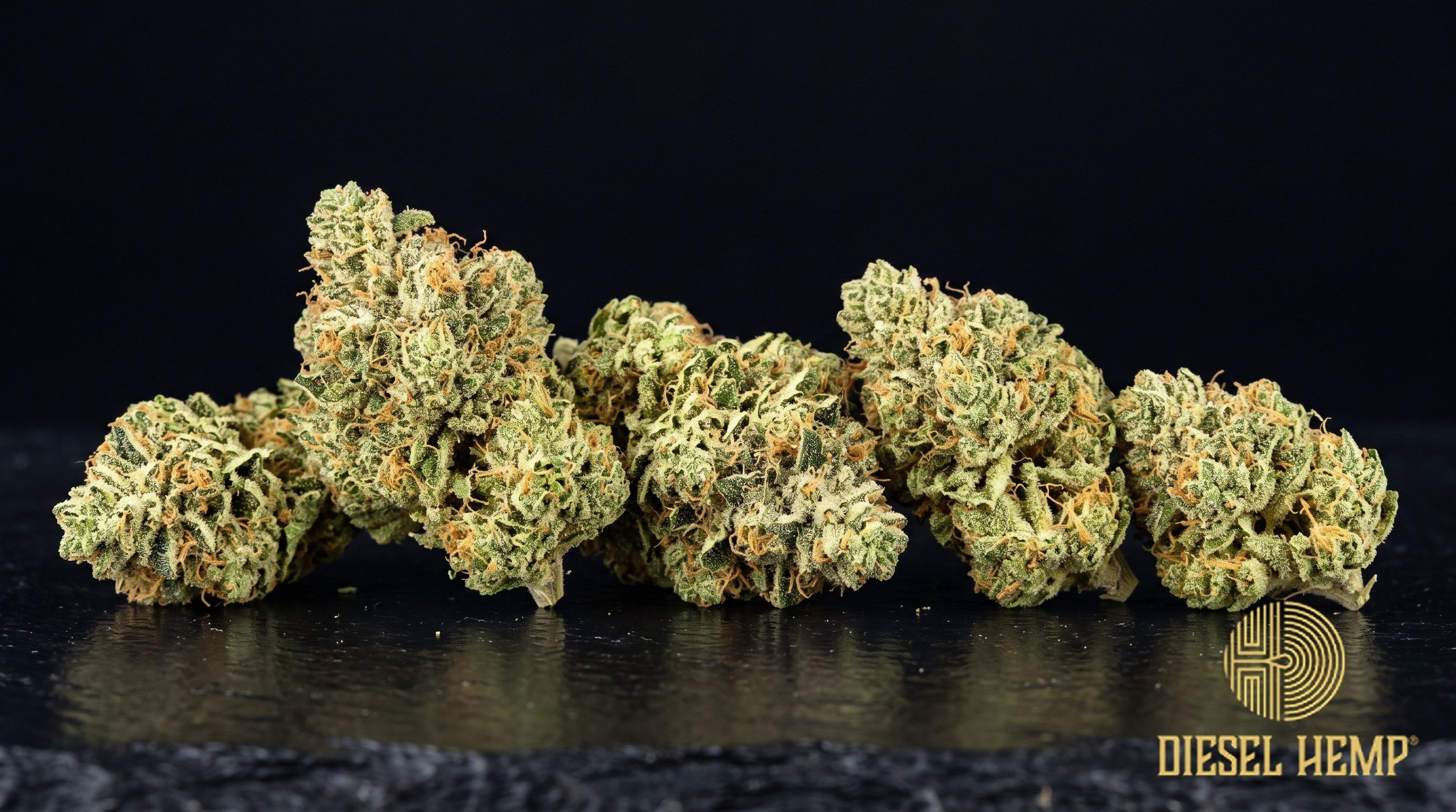 Stardawg strain cannabis buds in minty green with amber pistils and a heavy sparkling trichome frost on a black background | Diesel Hemp