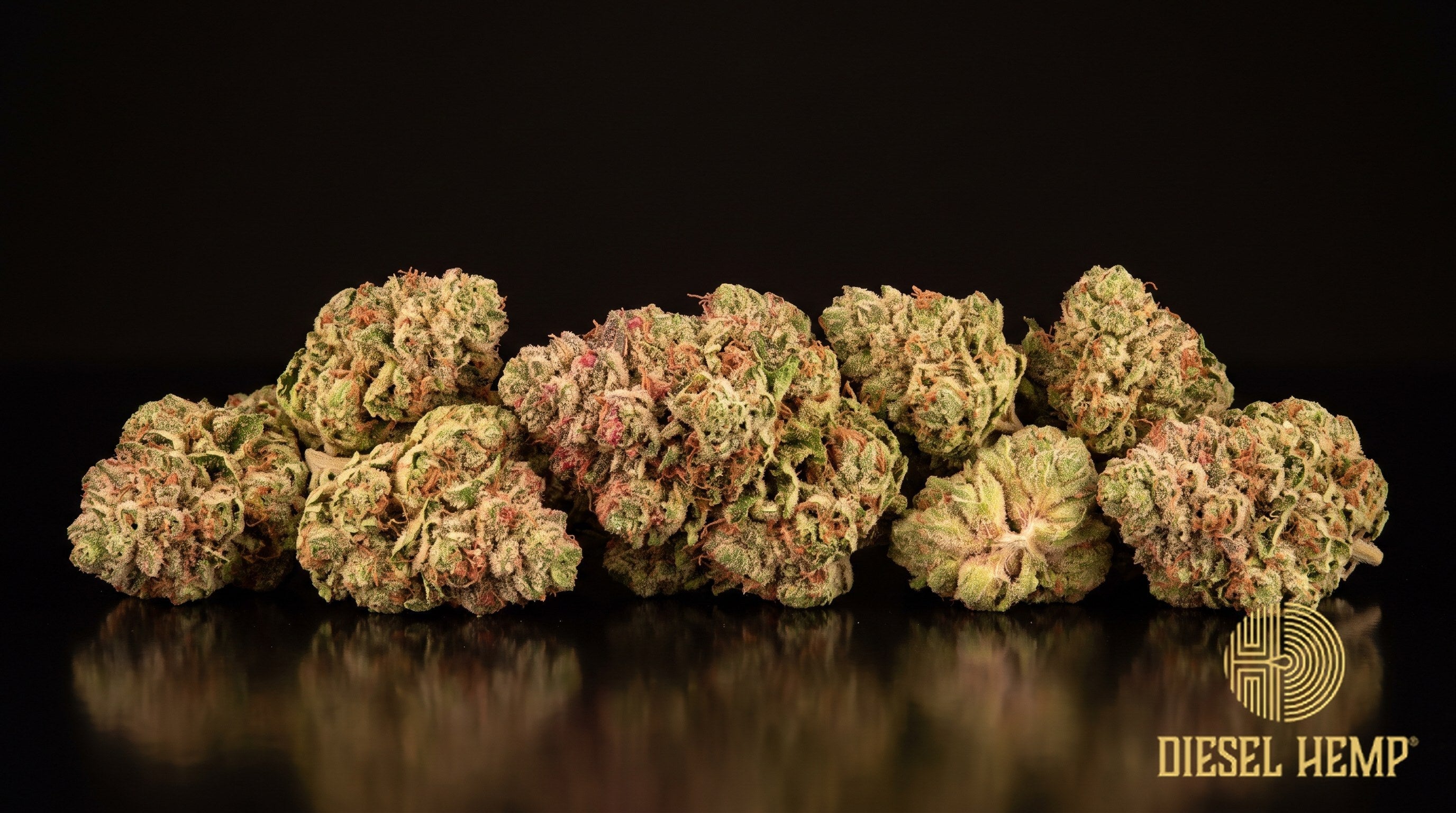Strawberry Guava strain cannabis buds in olive green with thin orange pistils and a frosty trichome coat on a black background | Diesel Hemp
