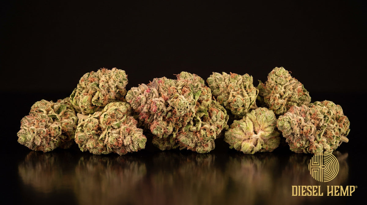 Strawberry Guava strain cannabis buds in olive green with thin orange pistils and a frosty trichome coat on a black background | Diesel Hemp