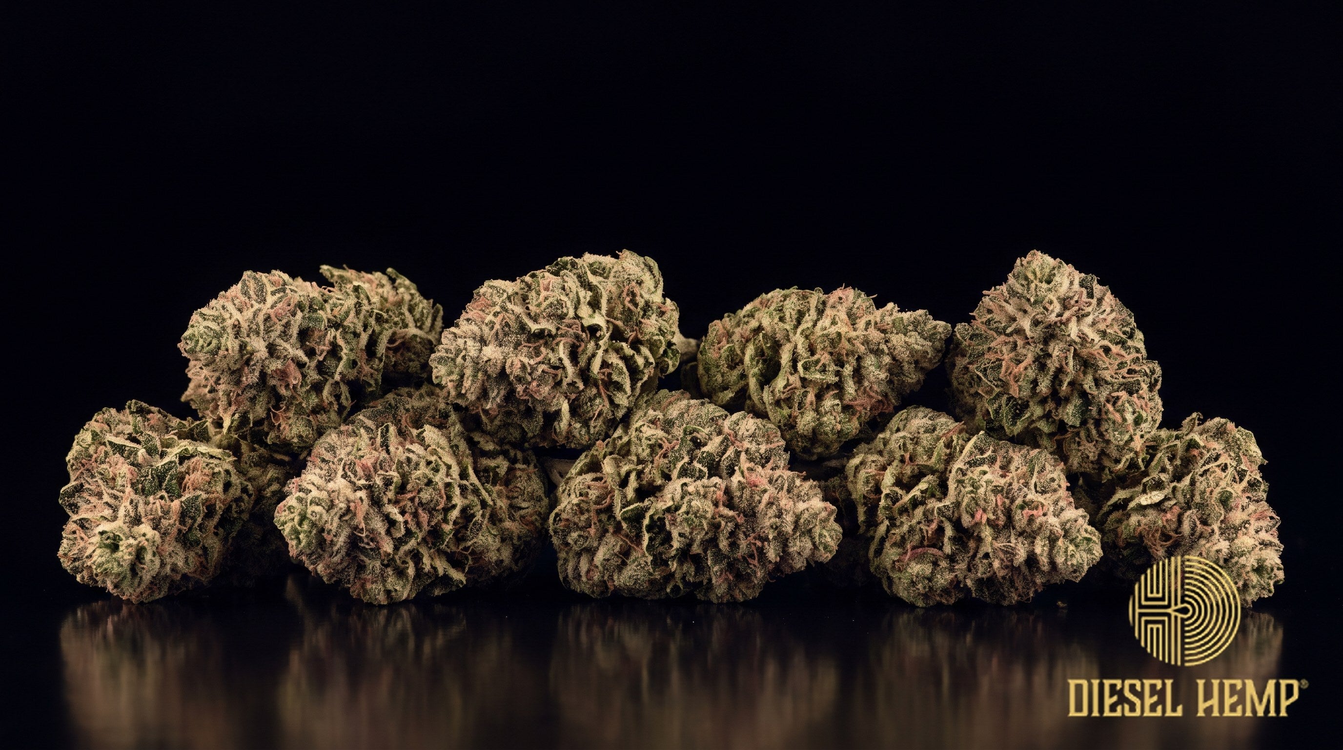 Strawberry Kush strain cannabis buds in bright green with long orange-red pistils and dense trichome frost on a black background | Diesel Hemp