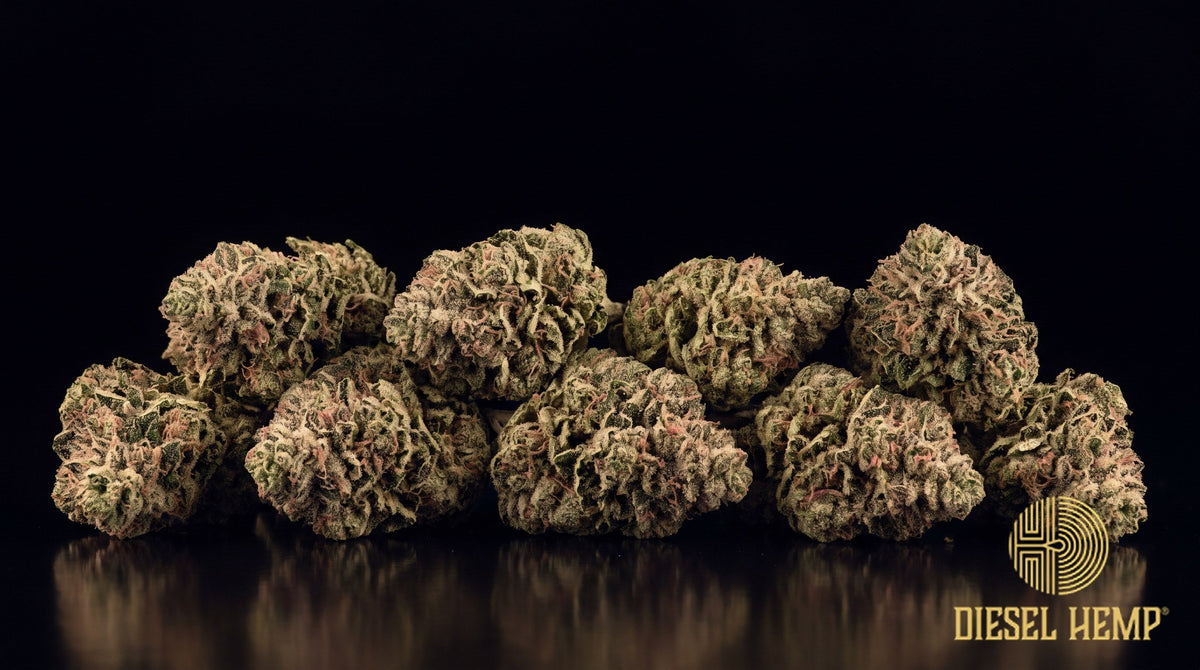 Strawberry Kush strain cannabis buds in bright green with long orange-red pistils and dense trichome frost on a black background | Diesel Hemp