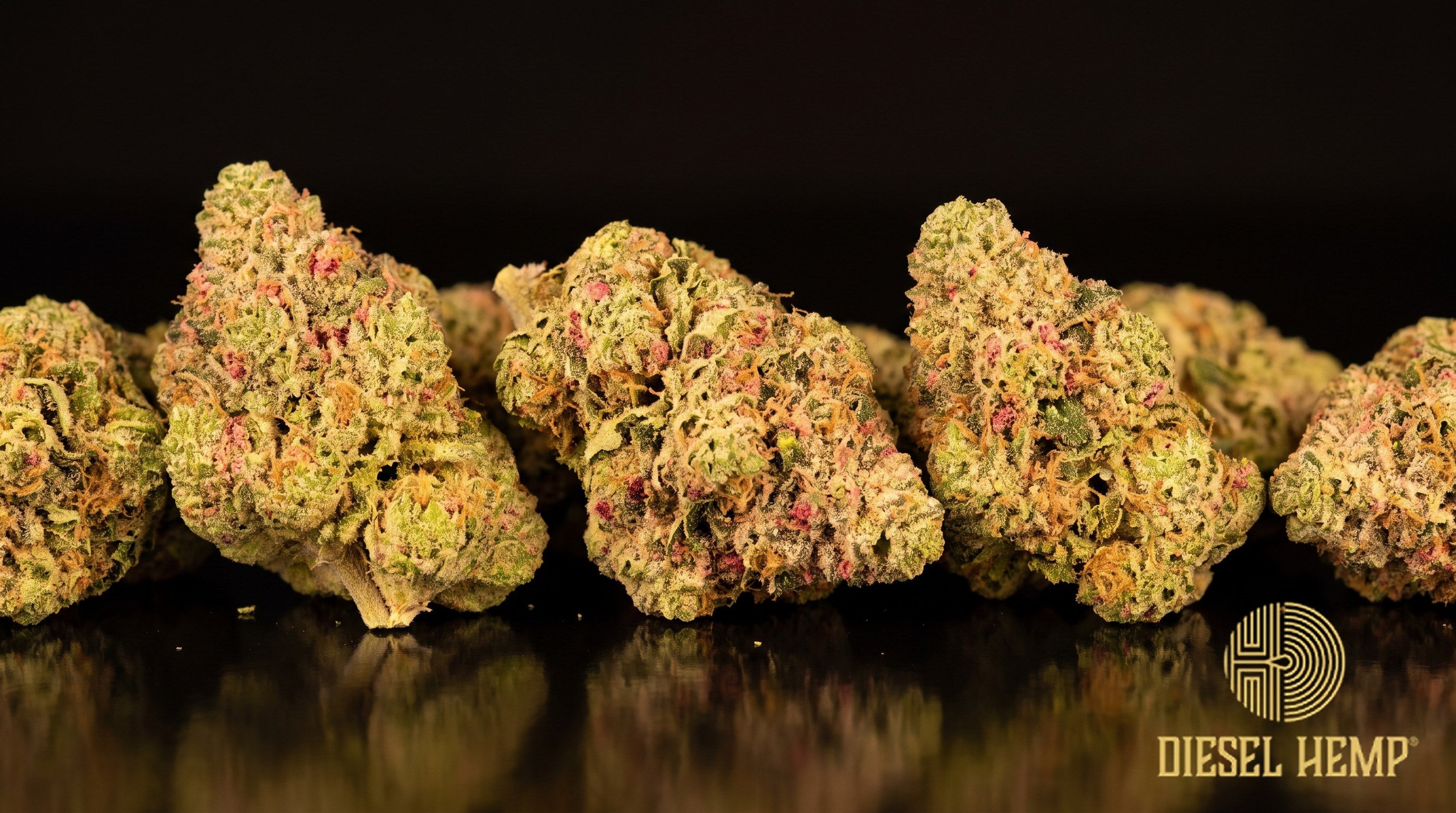 Strawberry Lemonade strain cannabis buds in lime and forest green with orange pistils and a heavy white trichome frost on a black background | Diesel Hemp