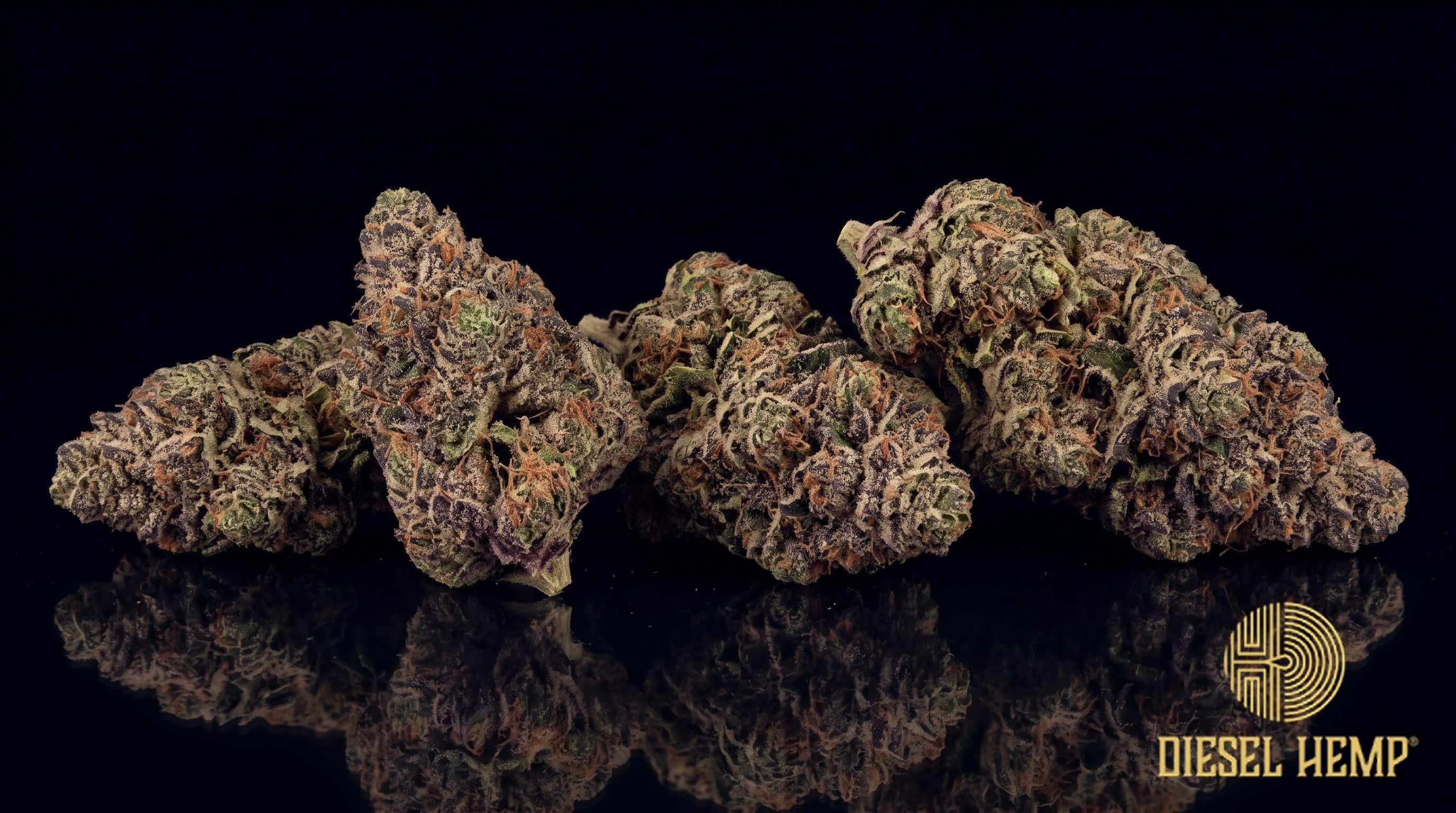 Strawberry Runtz strain cannabis buds in olive green with purple undertones, red-orange pistils and a heavy trichome frost on a black background | Diesel Hemp