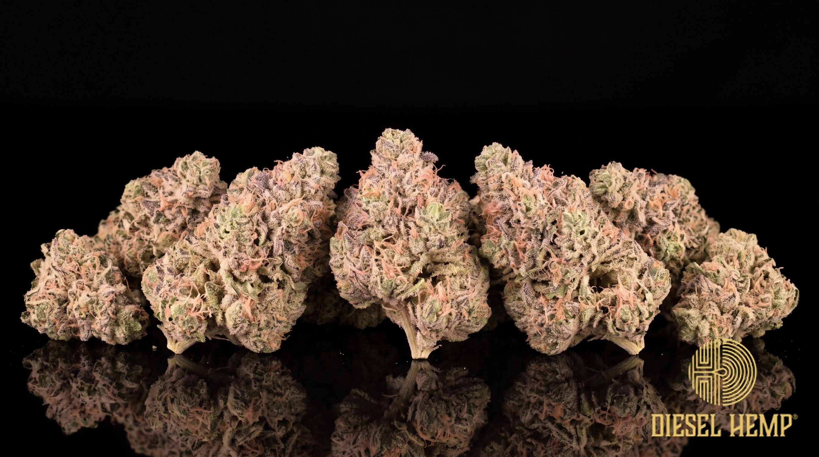 Strawnana strain cannabis buds in olive green with thick amber-orange pistils and a heavy frosty trichome coat on a black background | Diesel Hemp