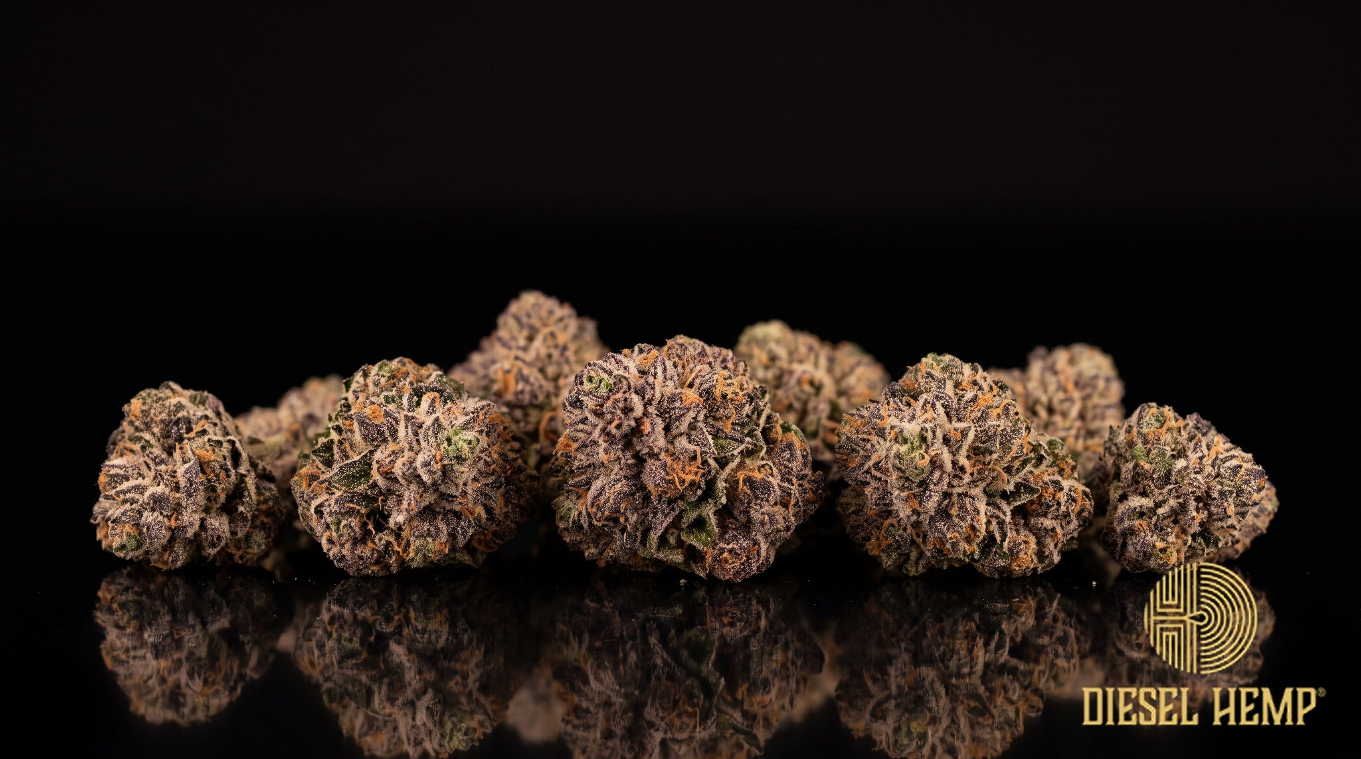 Super Runtz strain cannabis buds in olive green with purple undertones, thin orange pistils and heavy sugary white trichomes on a black background | Diesel Hemp