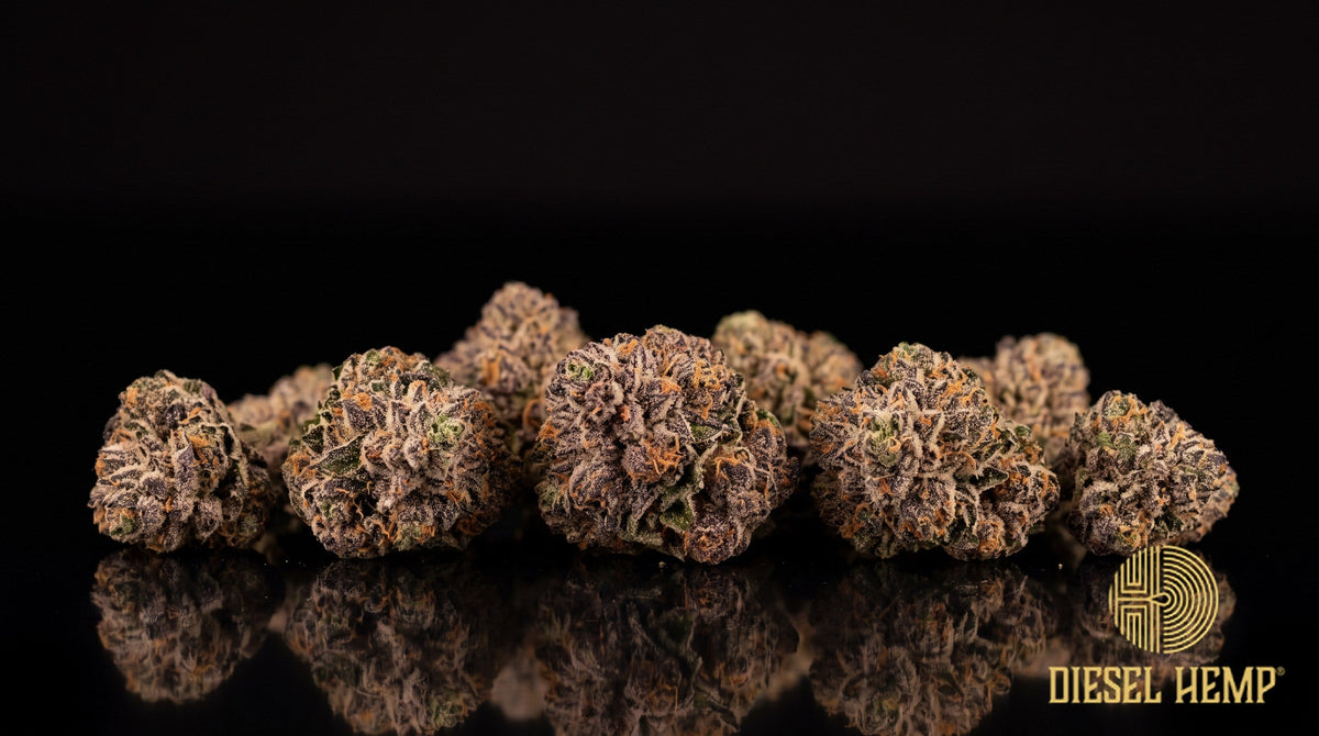 Super Runtz strain cannabis buds in olive green with purple undertones, thin orange pistils and heavy sugary white trichomes on a black background | Diesel Hemp