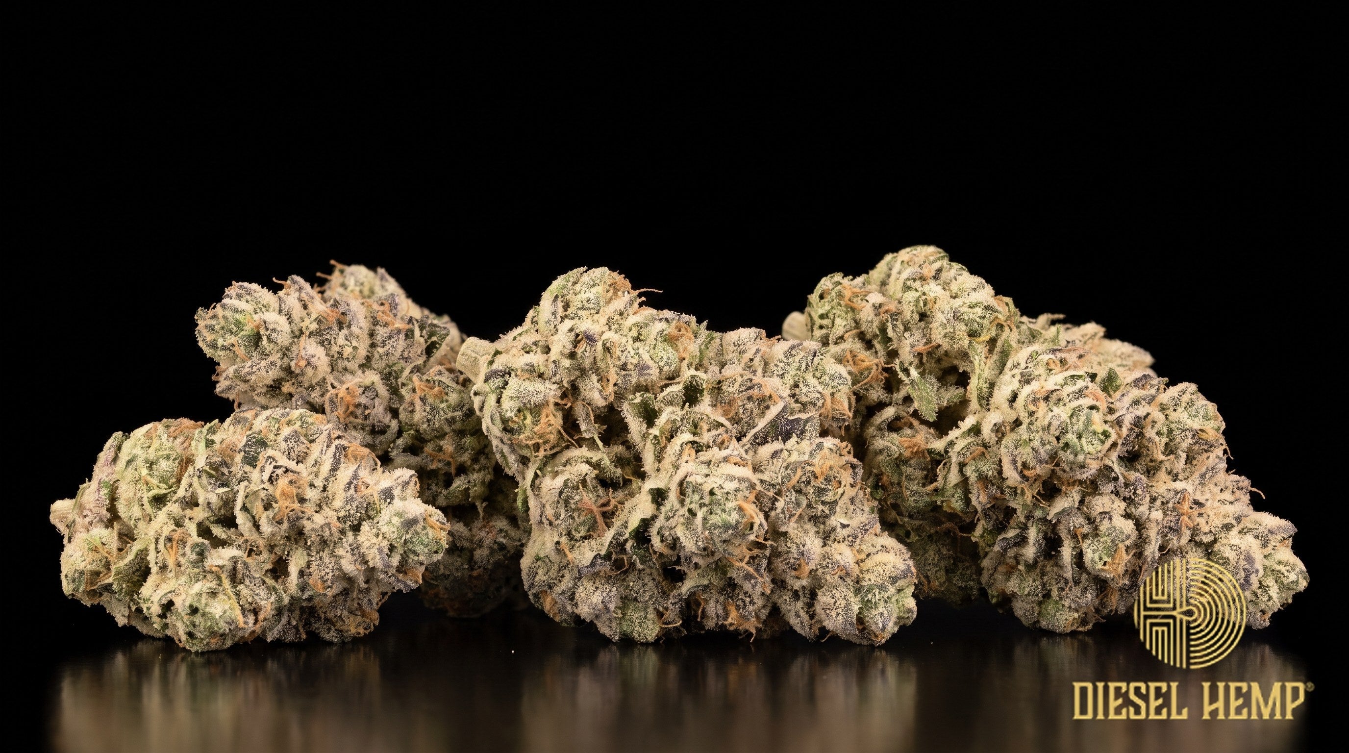 The Soap strain cannabis buds, dense lime green with purple hues, orange pistils and heavy trichome frost on a black background | Diesel Hemp