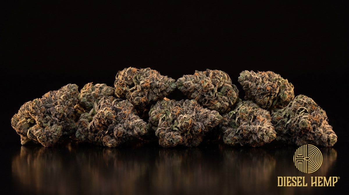 Thin Mints strain cannabis buds in dark forest green with royal purple hues, orange pistils and a heavy white trichome frost on a black background | Diesel Hemp