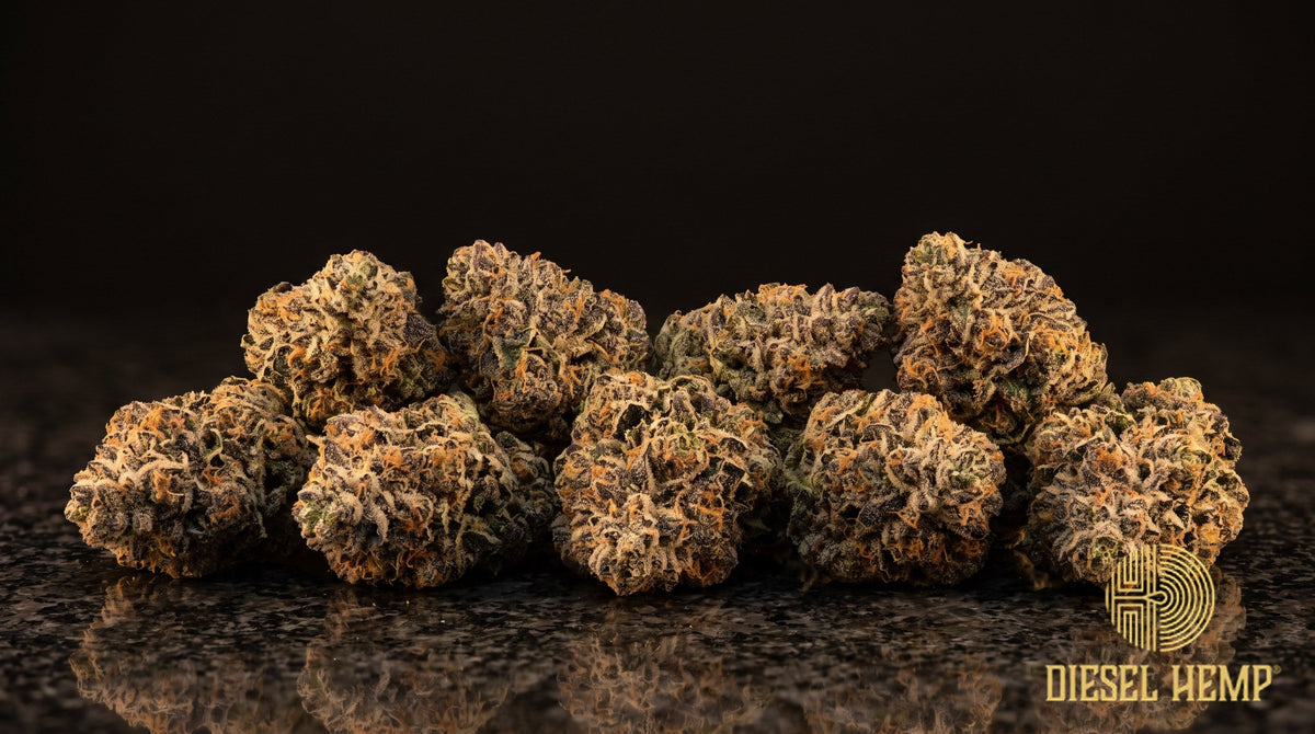 Triple Scoop strain cannabis buds, dense olive-green nugs with purple hints, orange hairs and heavy trichome frost on a black background | Diesel Hemp