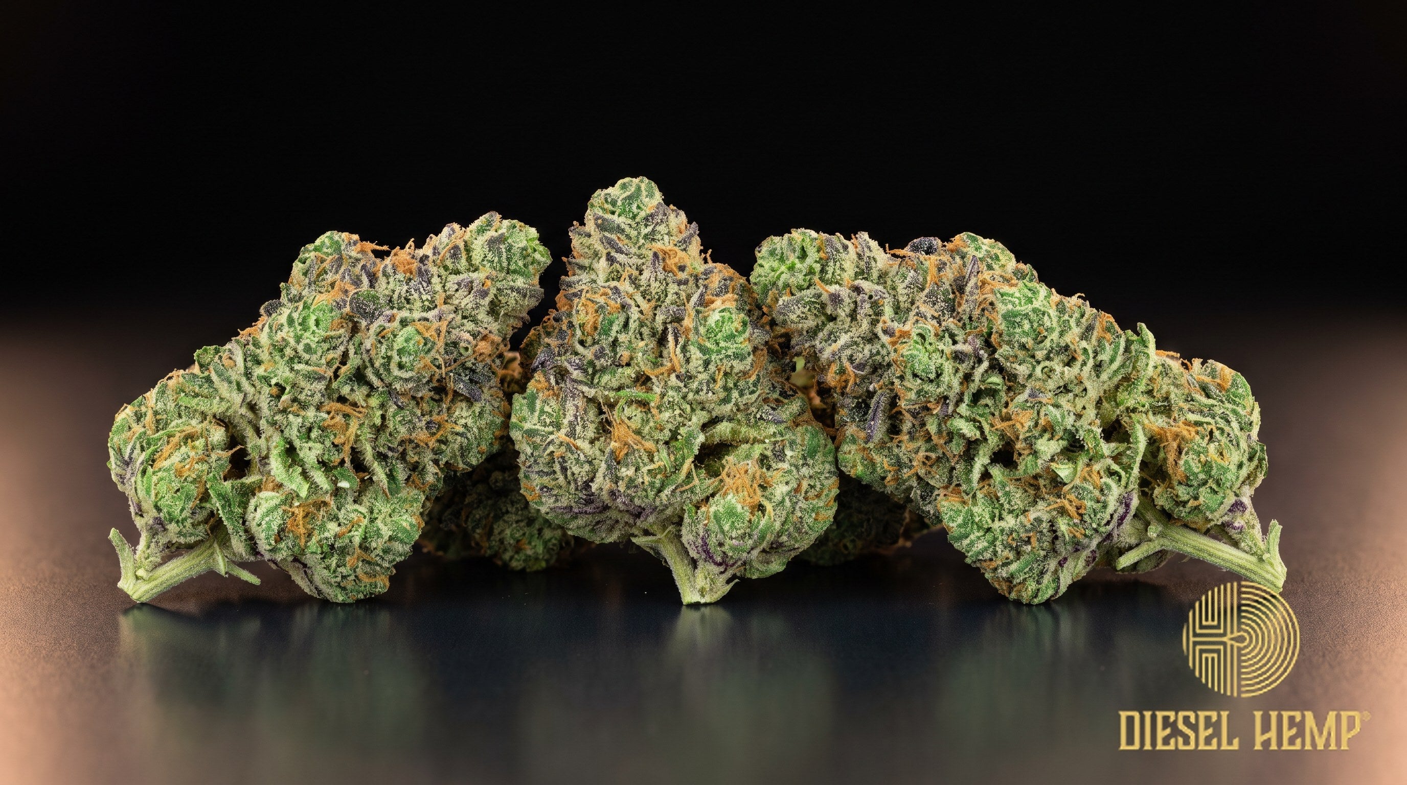 Tropical Runtz strain cannabis buds in forest green with thick orange pistils and heavy trichome frost on a black background | Diesel Hemp