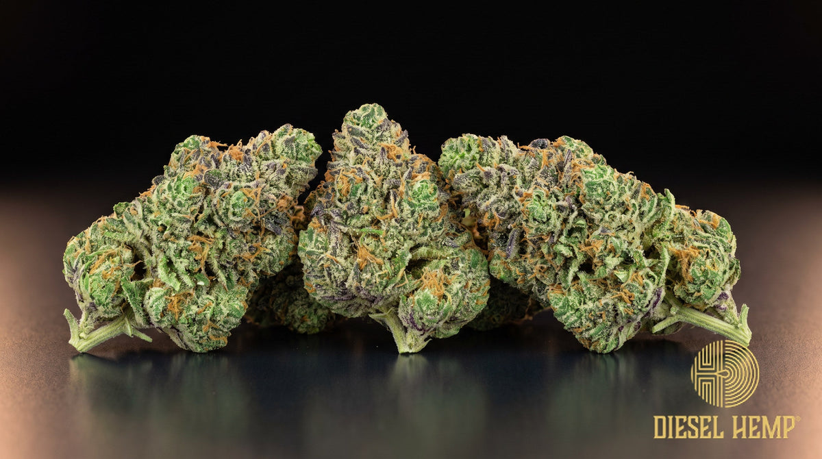 Tropical Runtz strain cannabis buds in forest green with thick orange pistils and heavy trichome frost on a black background | Diesel Hemp