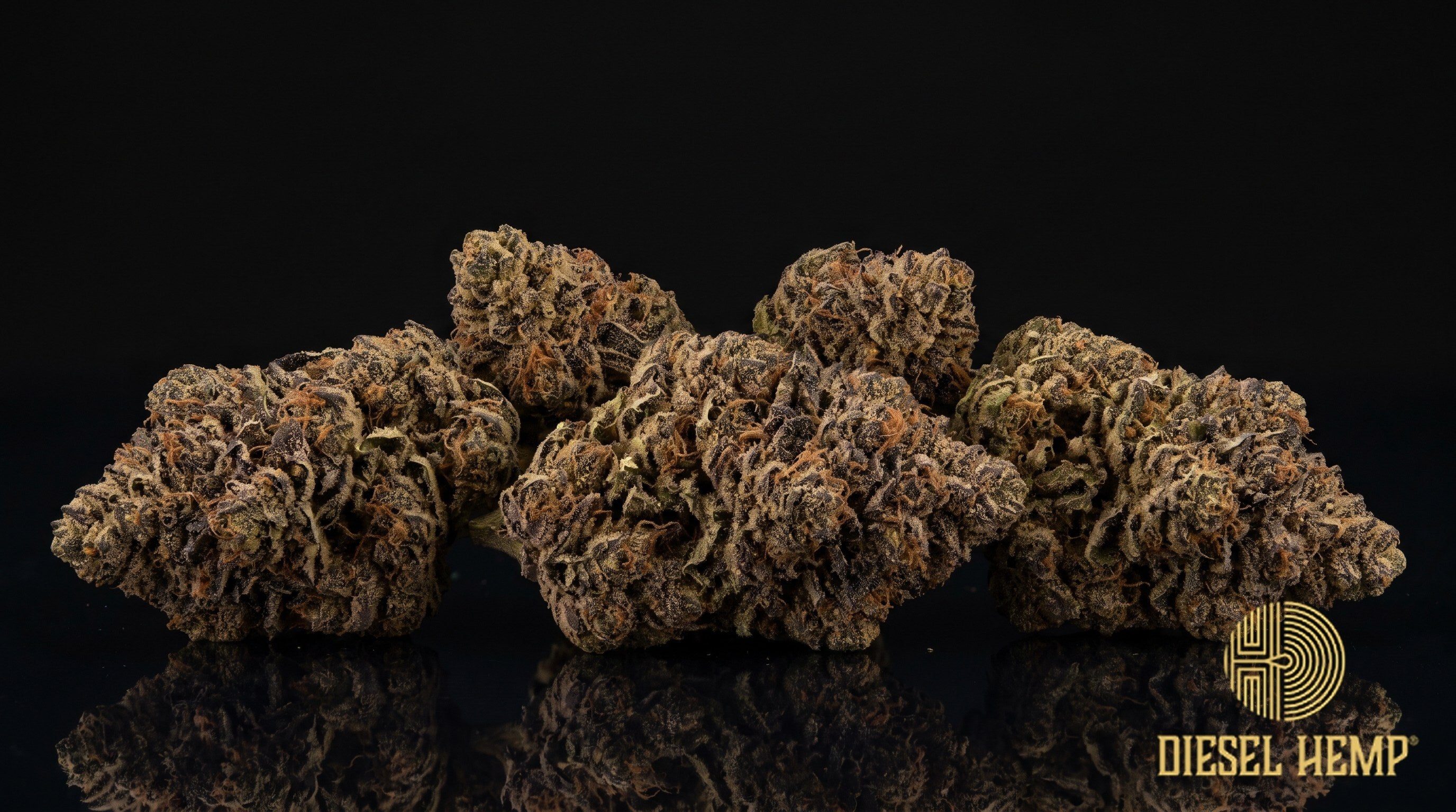 Truffle Cake strain cannabis buds in olive green with purple-tinted frost, amber-orange pistils and a dense trichome coat on a black background | Diesel Hemp