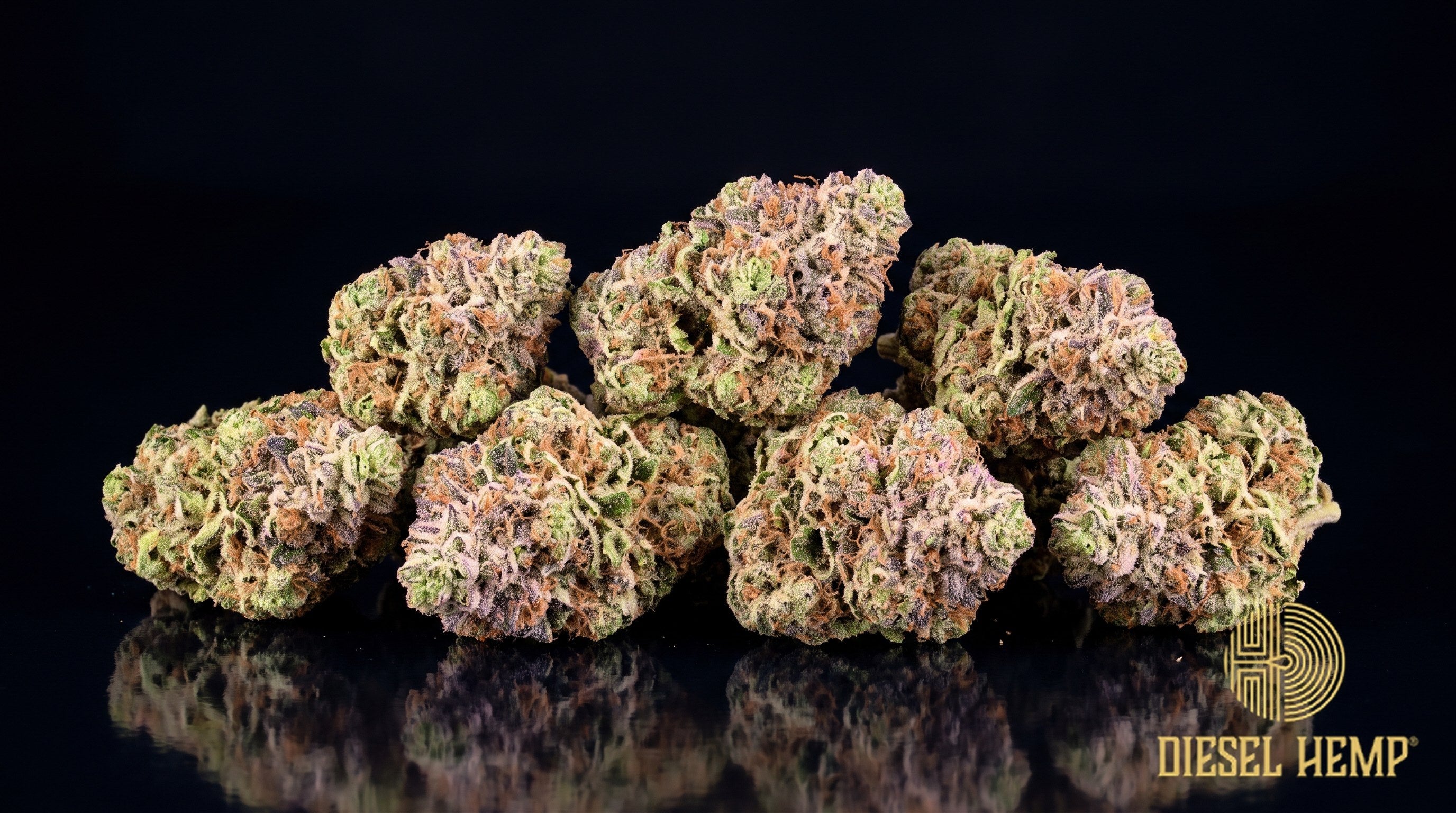 Unicorn Poop strain cannabis buds in dark forest green with amber pistils and a dense trichome coat on a black background | Diesel Hemp